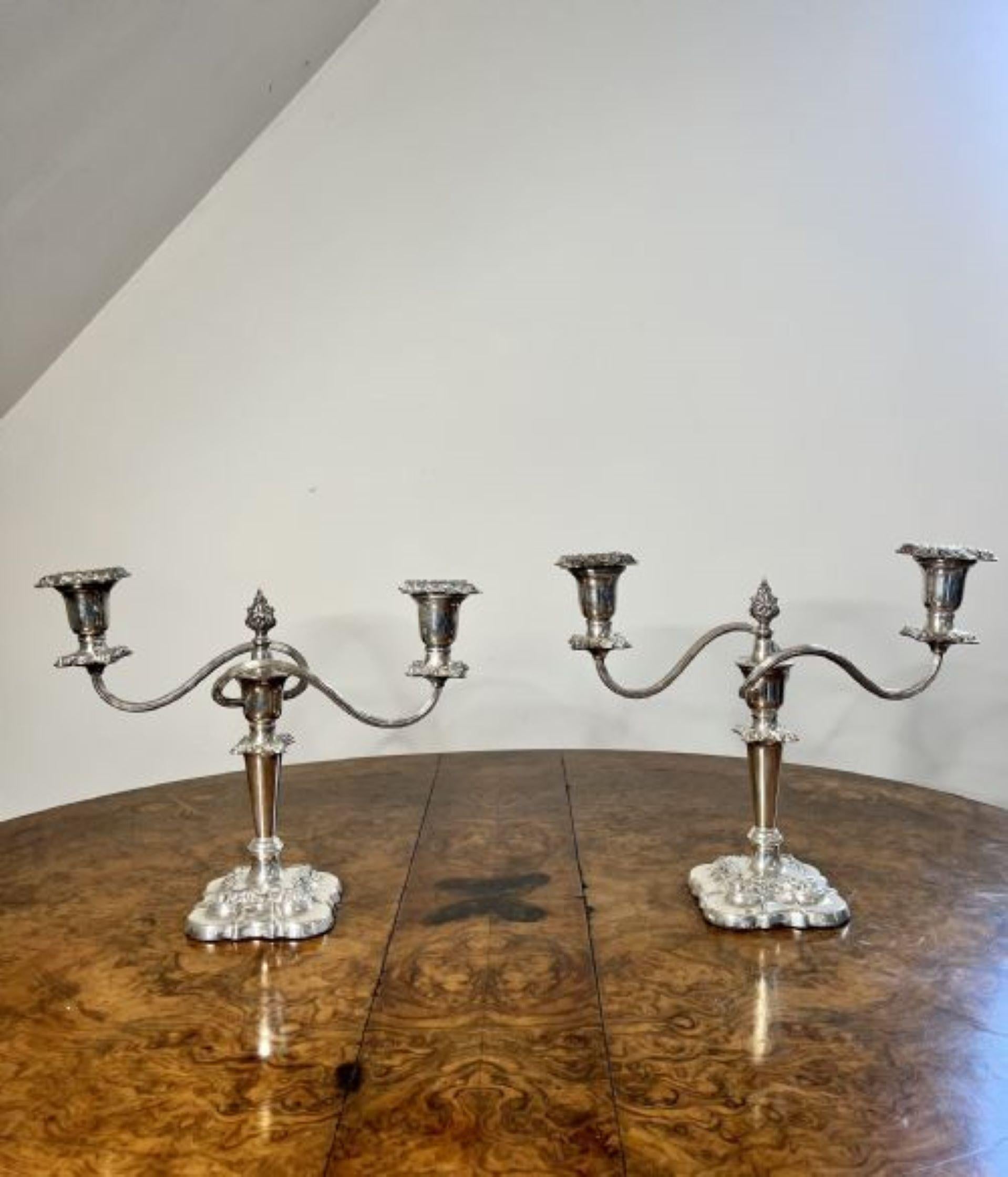 Silver Plate Stunning pair of antique Edwardian silver plated ornate candelabras For Sale