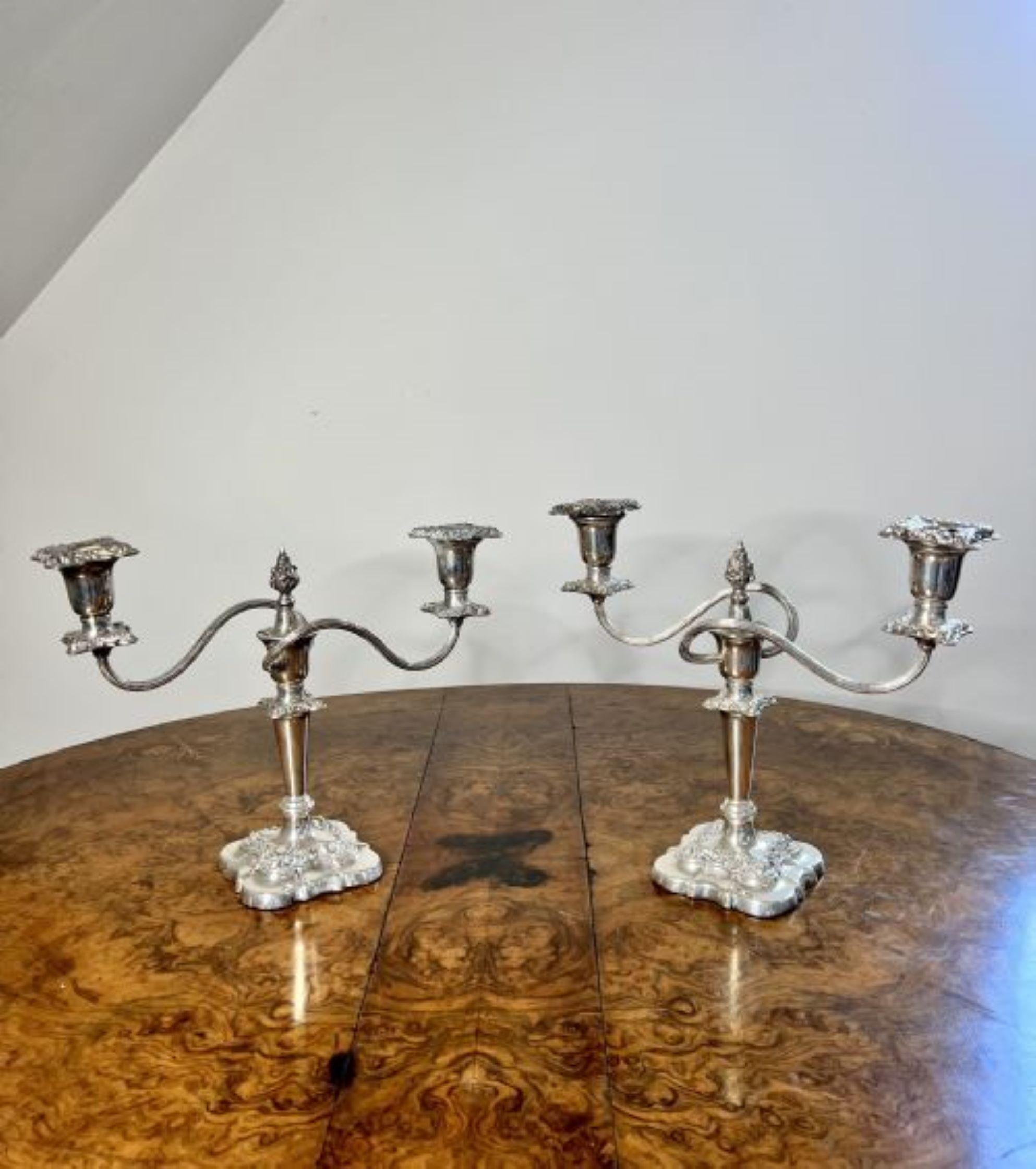 Stunning pair of antique Edwardian silver plated ornate candelabras For Sale 1
