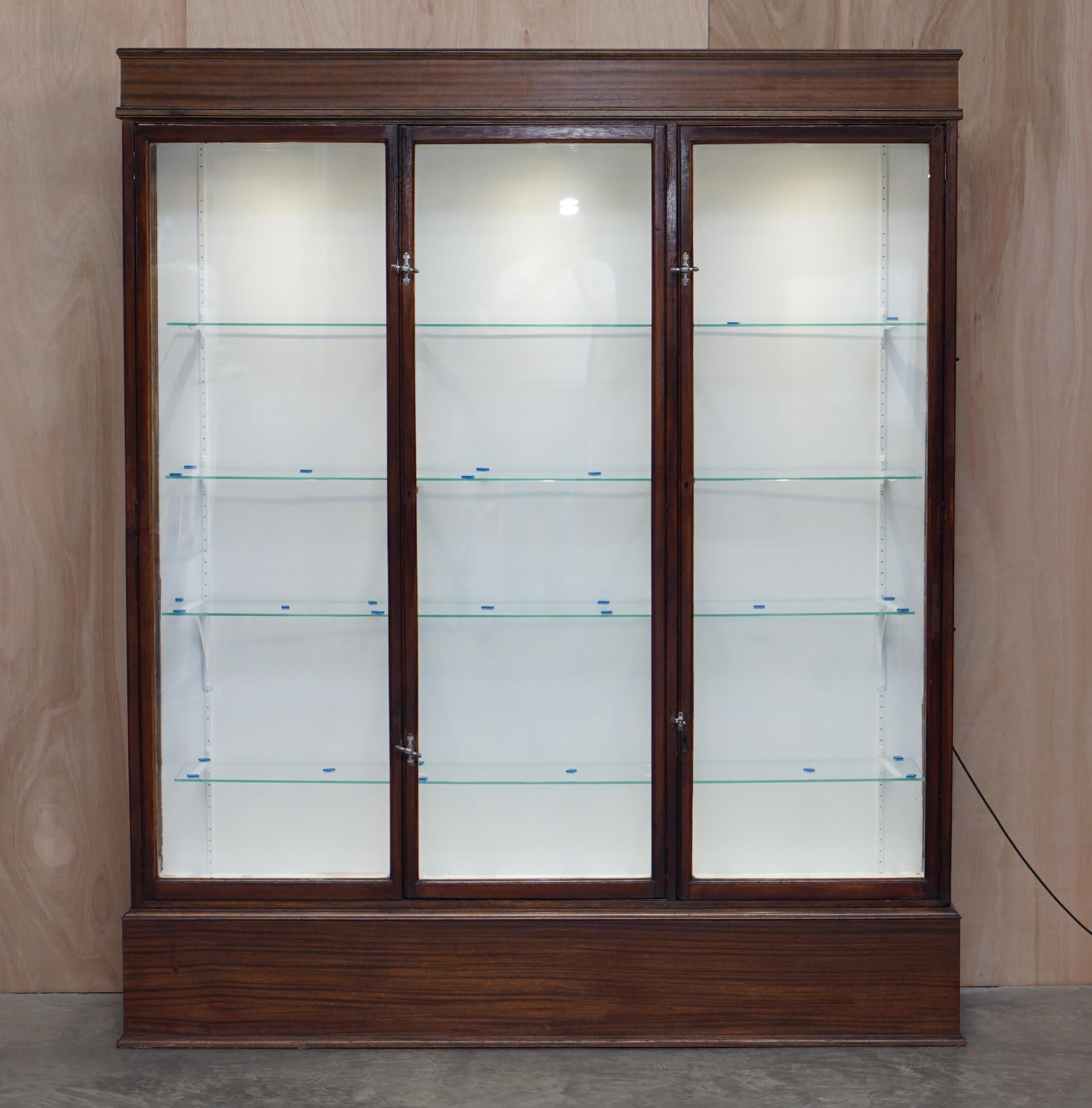 Stunning Pair of Antique Victorian F Maund & E Berg Display Cabinets with Lights For Sale 7