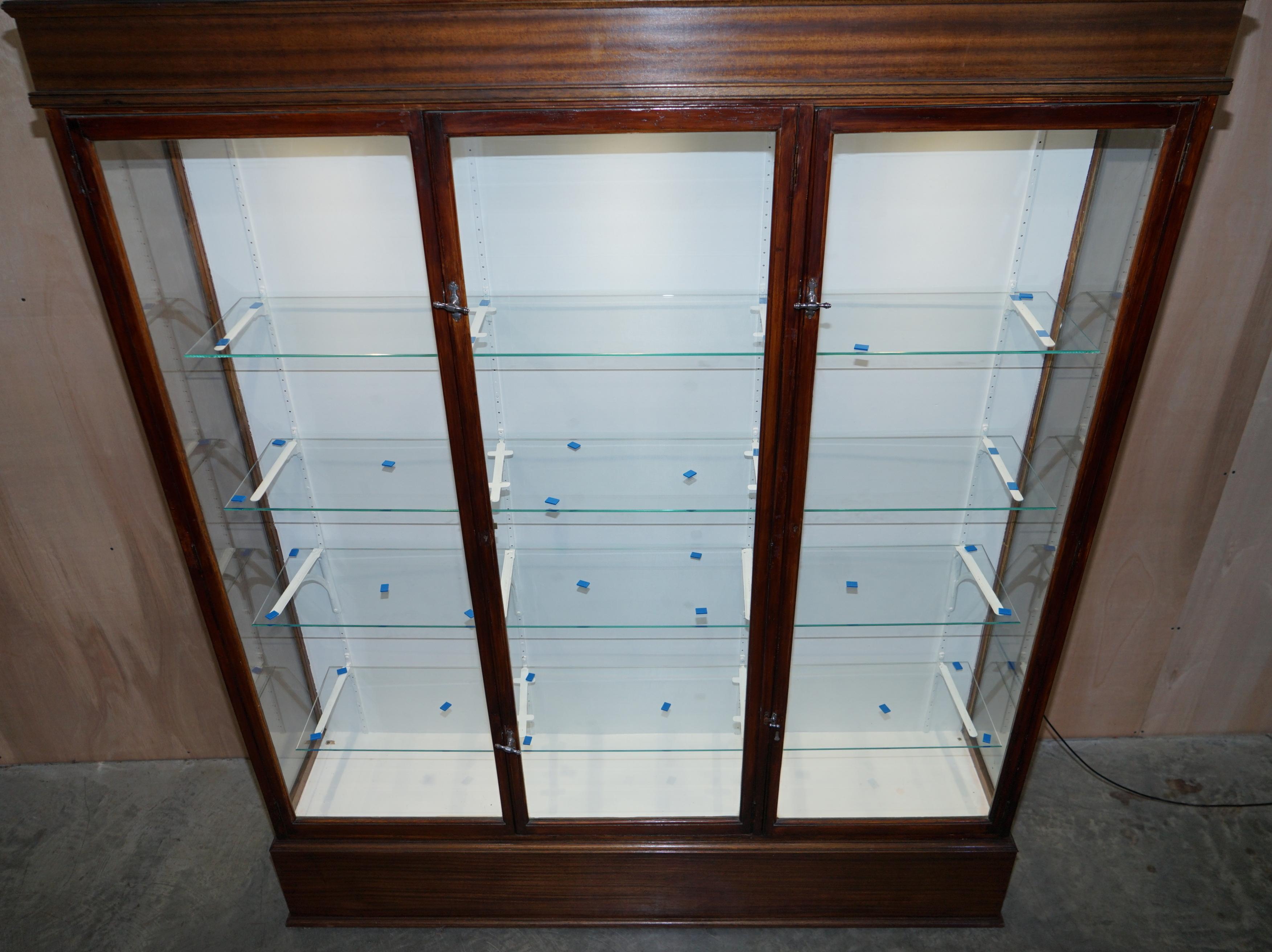 Stunning Pair of Antique Victorian F Maund & E Berg Display Cabinets with Lights For Sale 9
