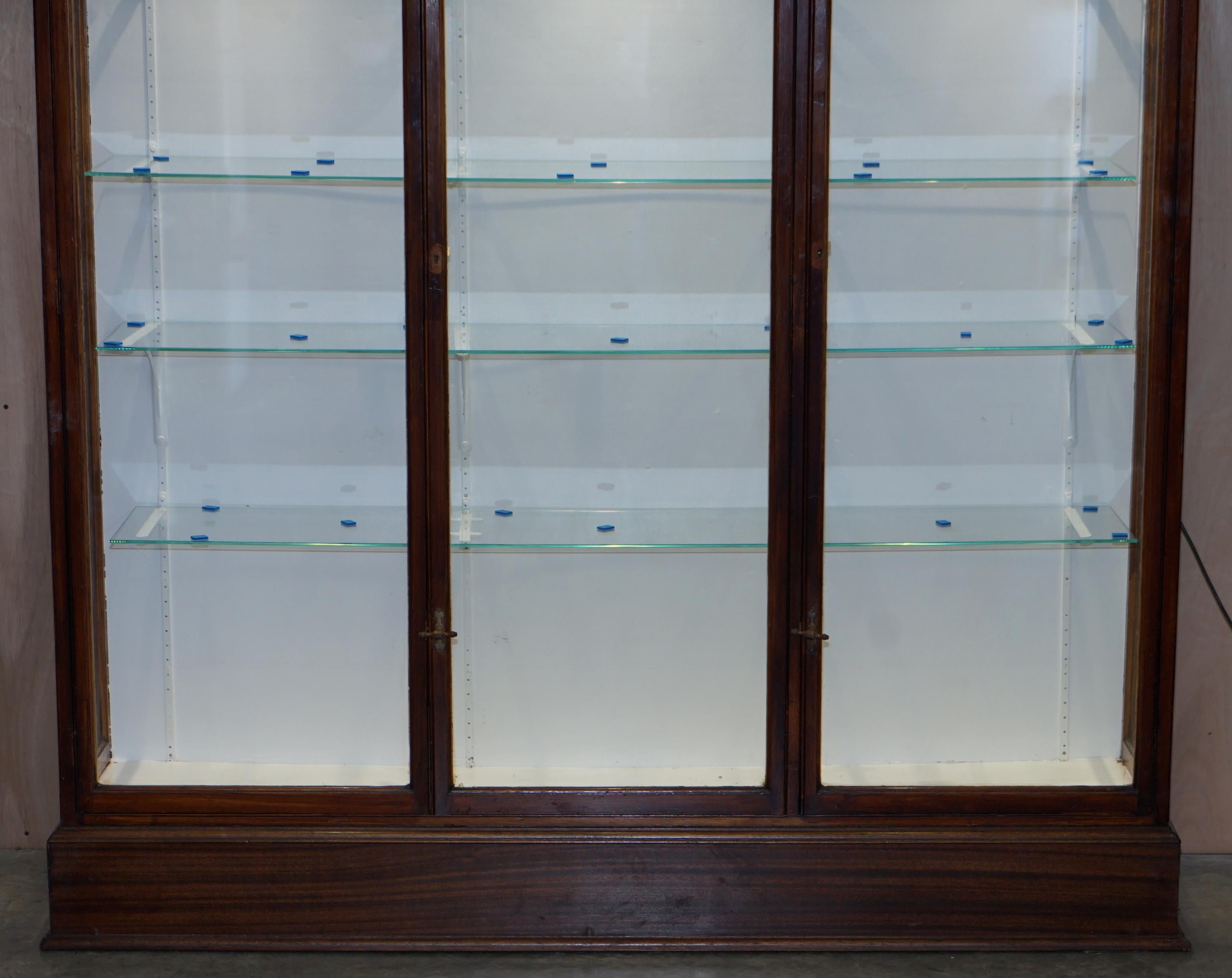 Hand-Crafted Stunning Pair of Antique Victorian F Maund & E Berg Display Cabinets with Lights For Sale