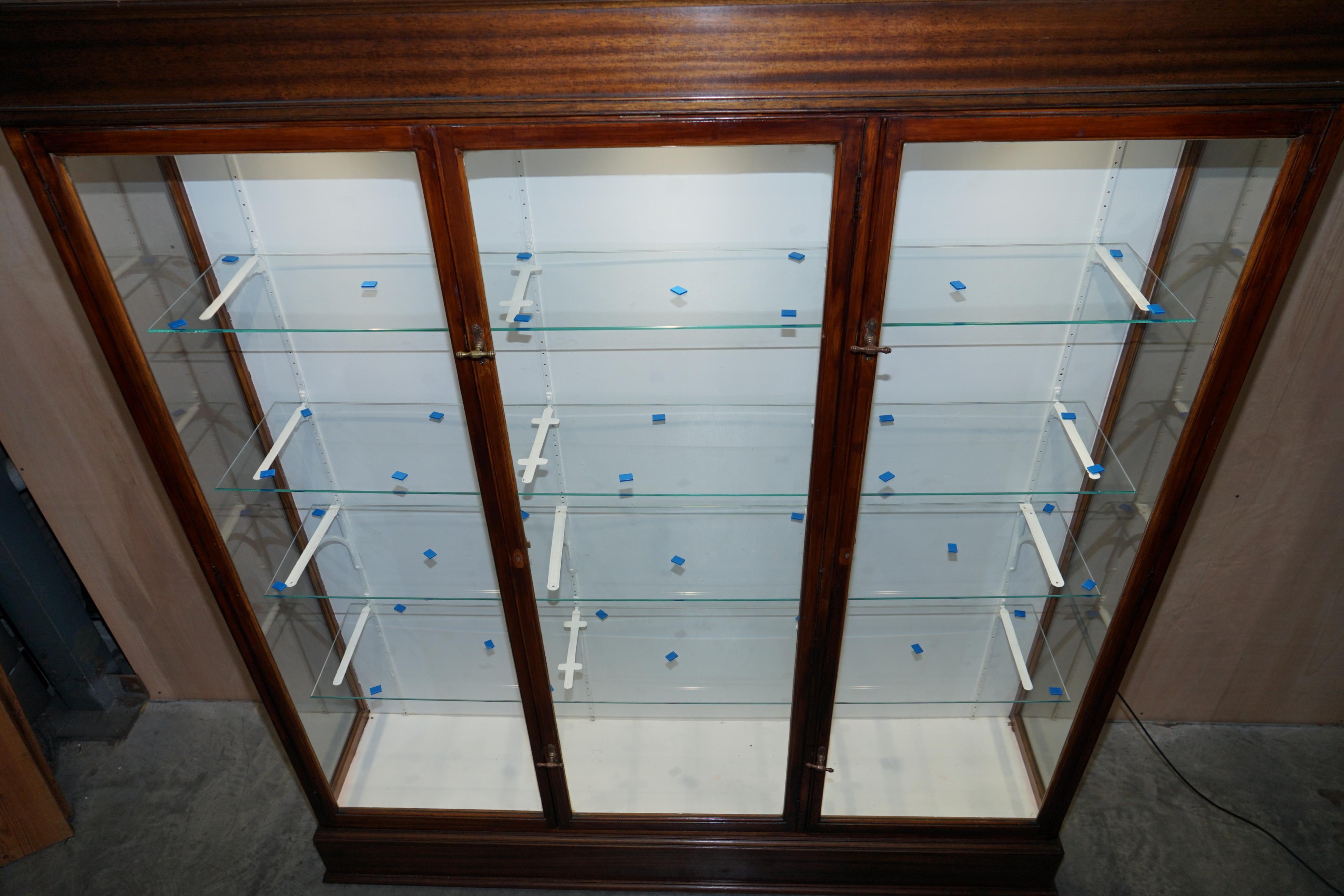 Hardwood Stunning Pair of Antique Victorian F Maund & E Berg Display Cabinets with Lights For Sale