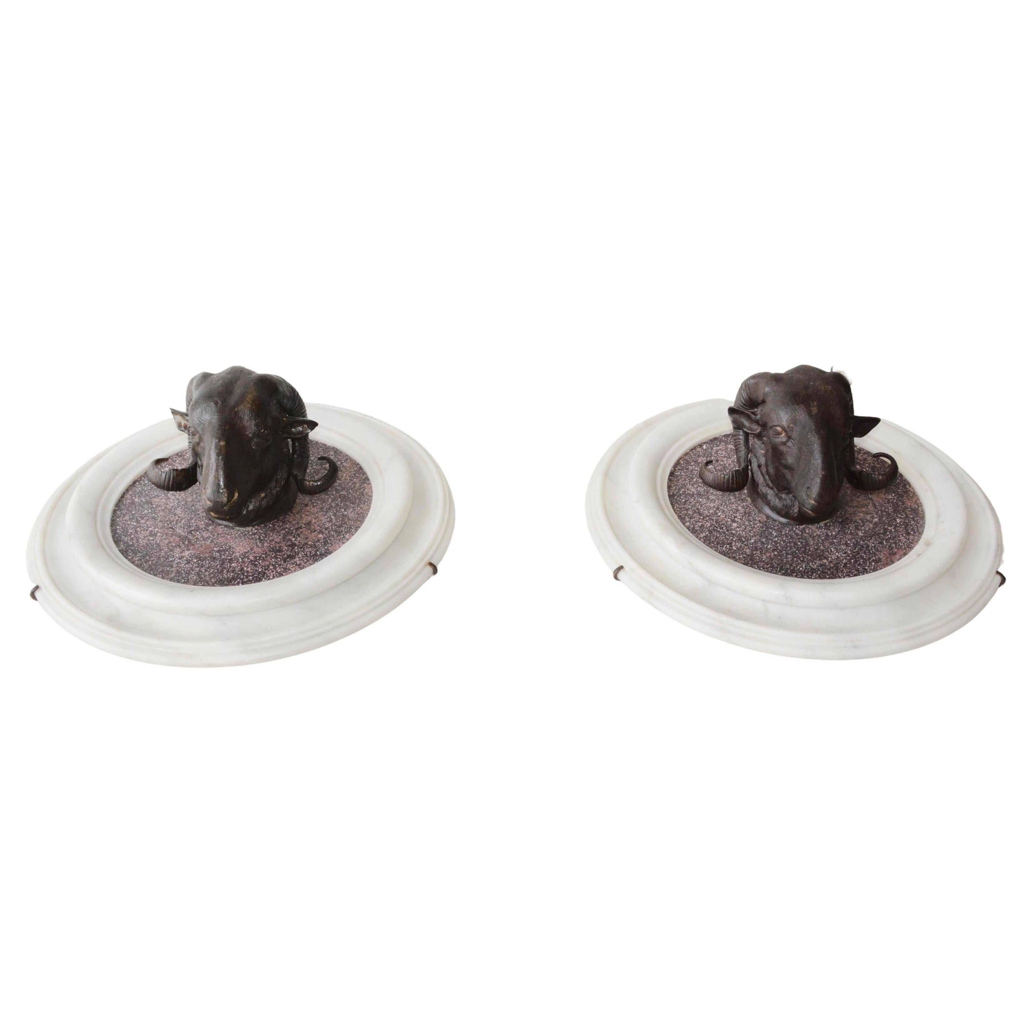 Patinated Stunning Pair of Bronze Rams Heads on Porphyry For Sale