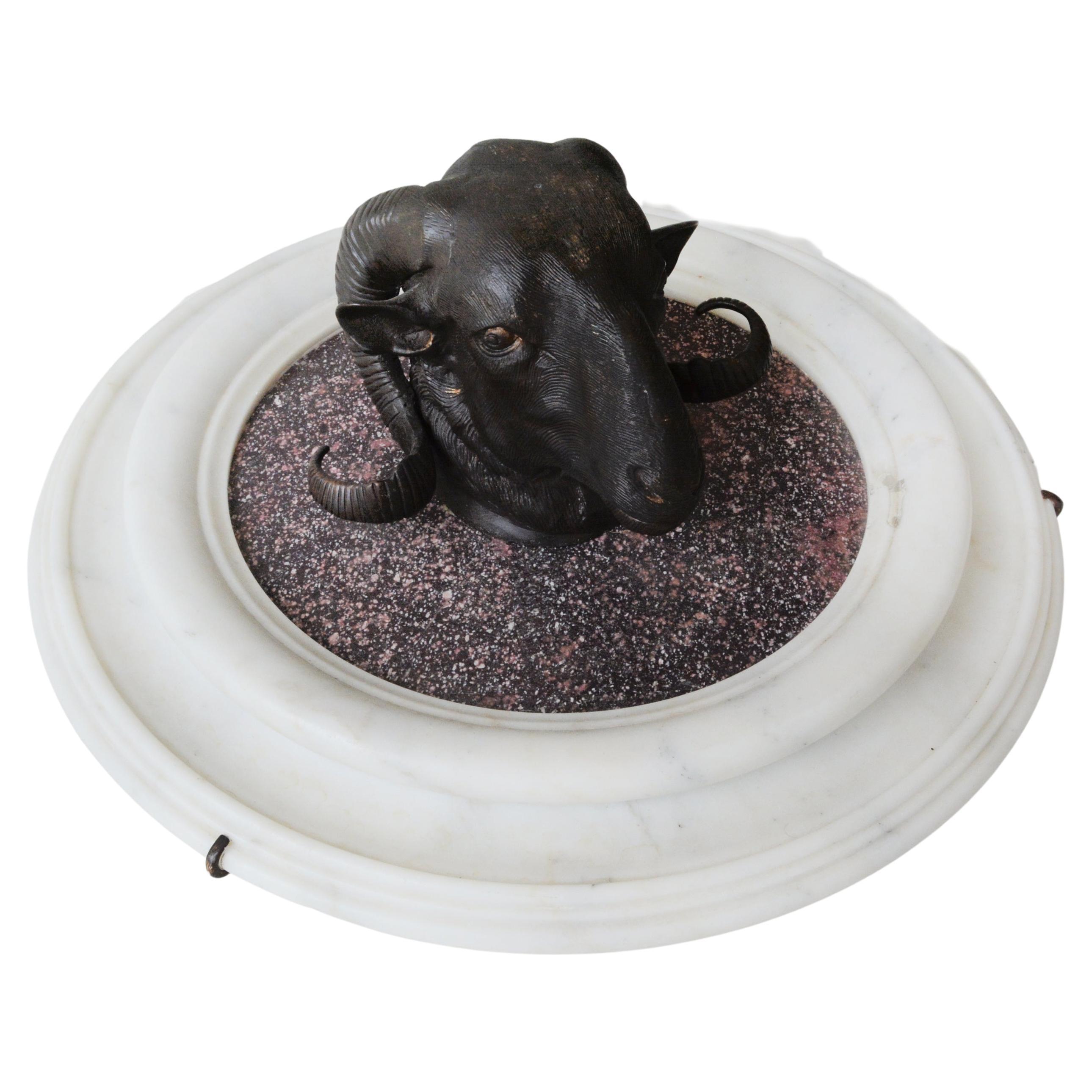 Stunning Pair of Bronze Rams Heads on Porphyry For Sale