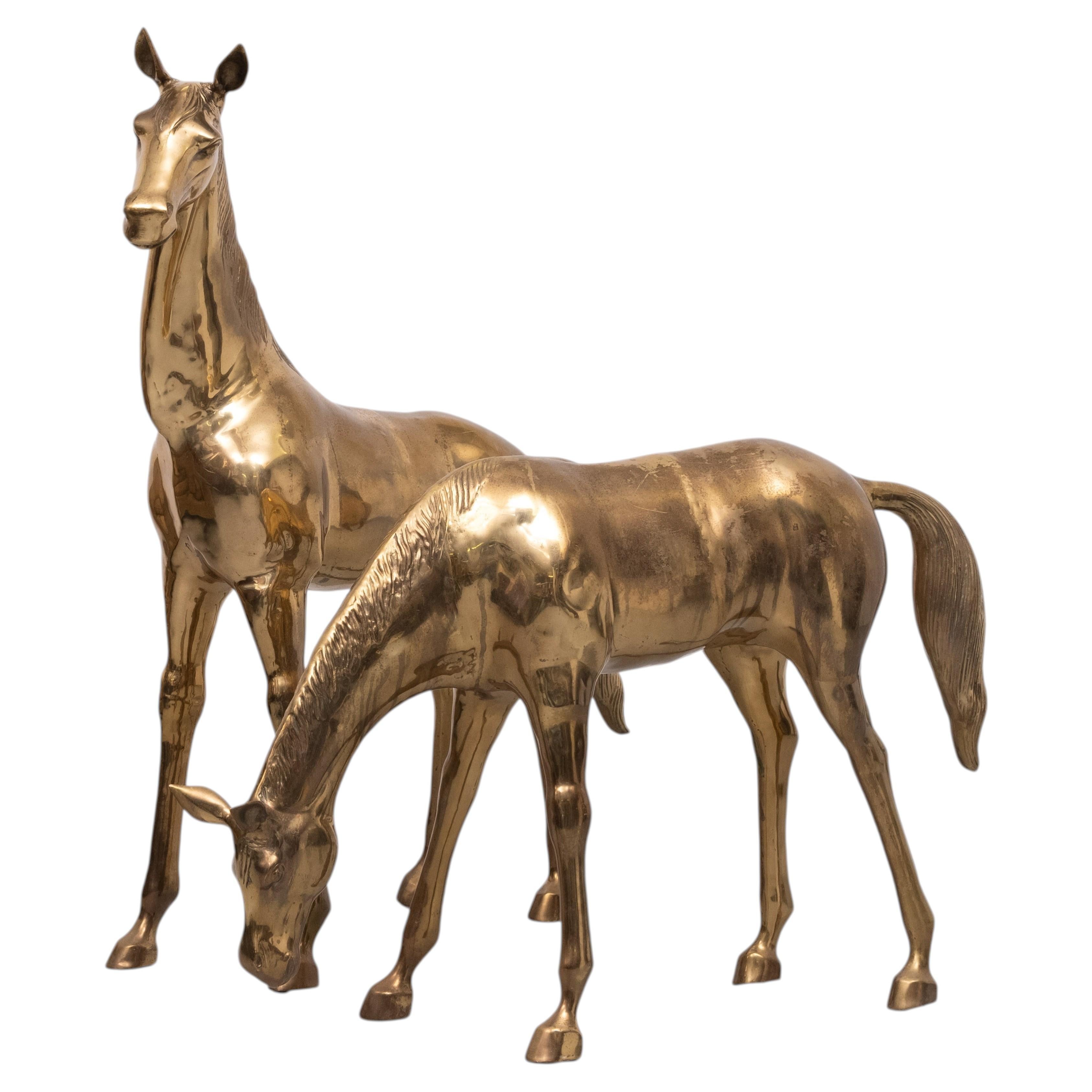 Stupefacente coppia di grandi cavalli in ottone di Apko Superbrass 1970 Olanda