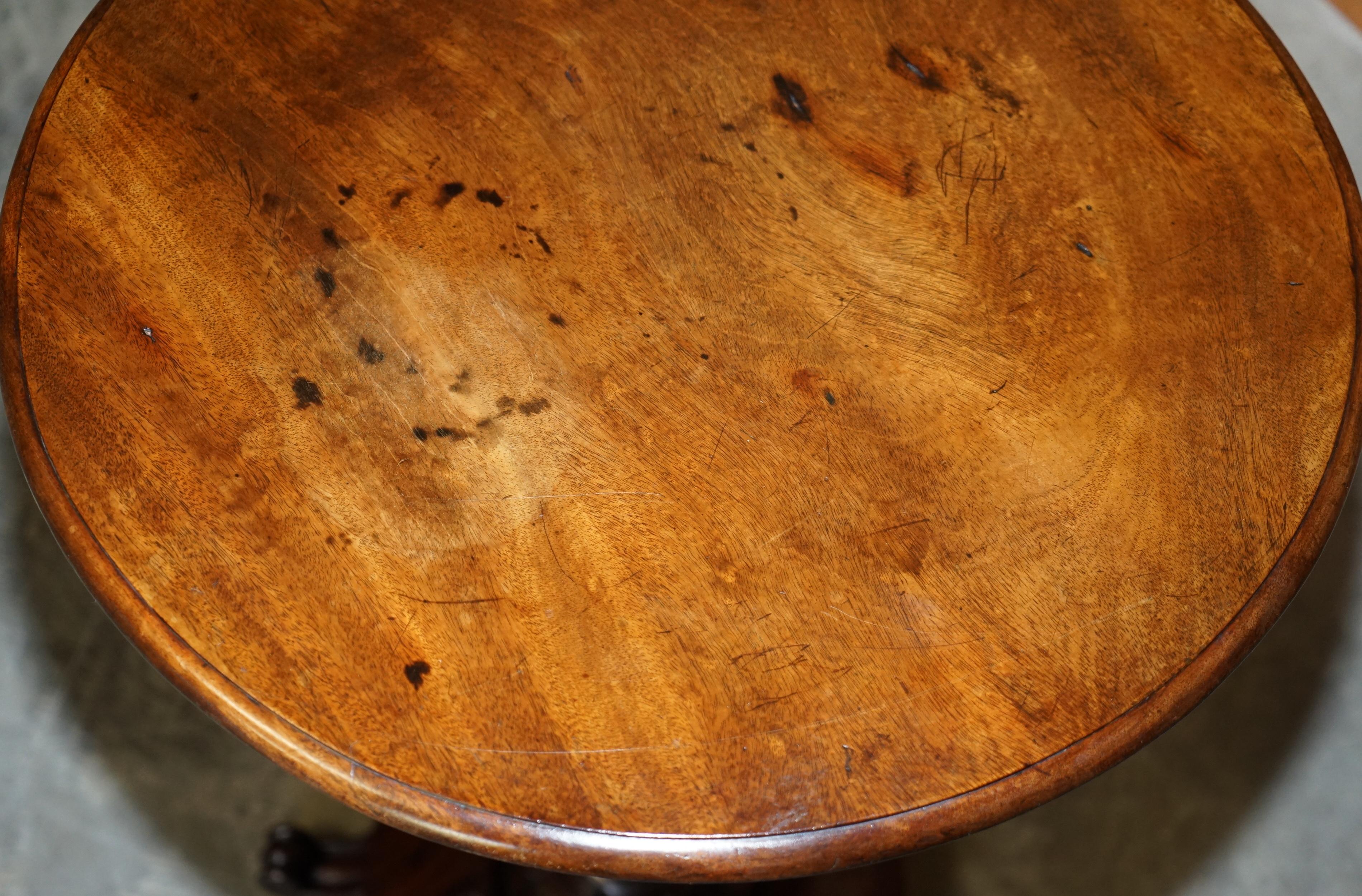 Stunning Patina Antique William IV circa 1830 Hardwood Tilt Top Occasional Table For Sale 5