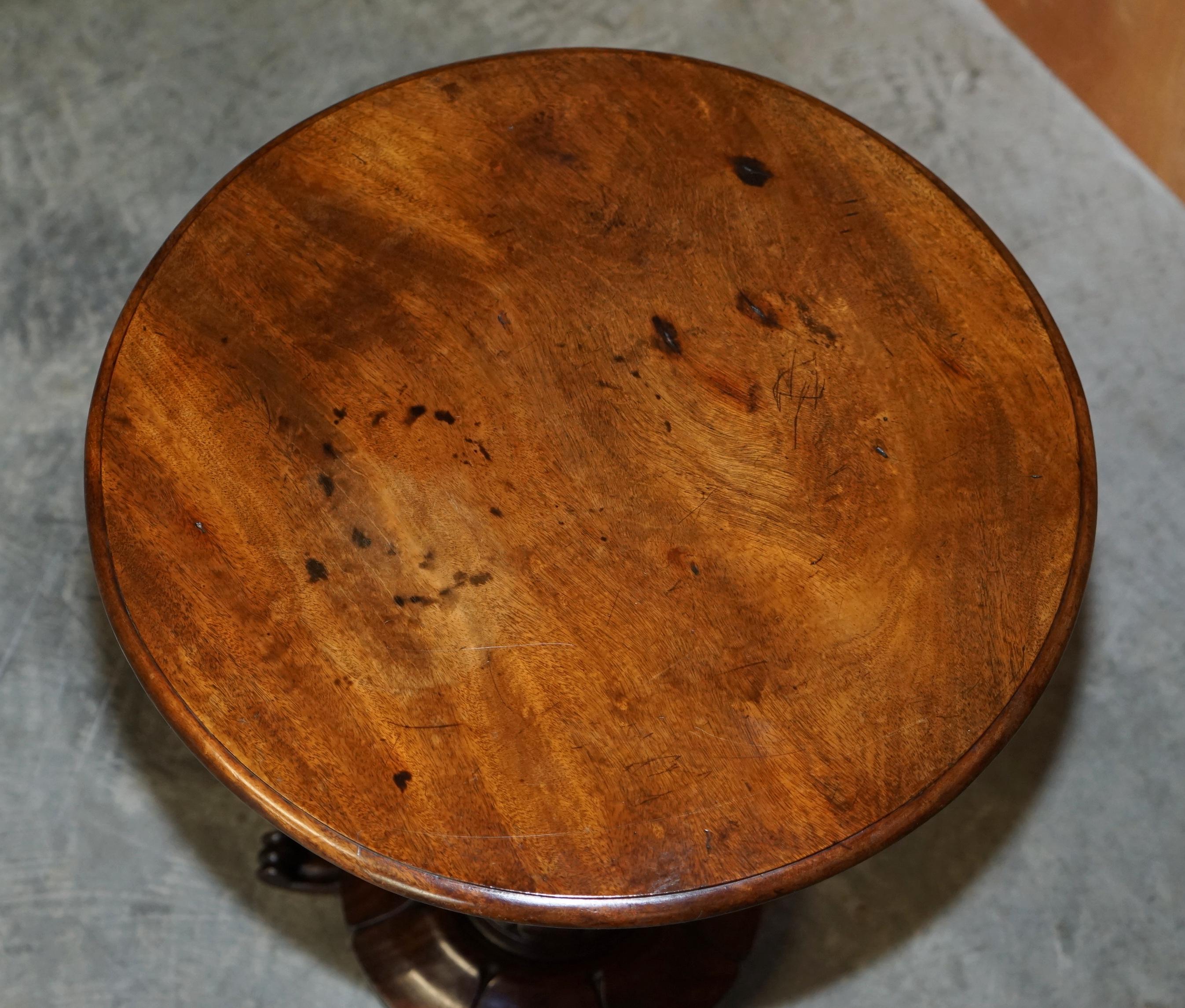 Stunning Patina Antique William IV circa 1830 Hardwood Tilt Top Occasional Table For Sale 3