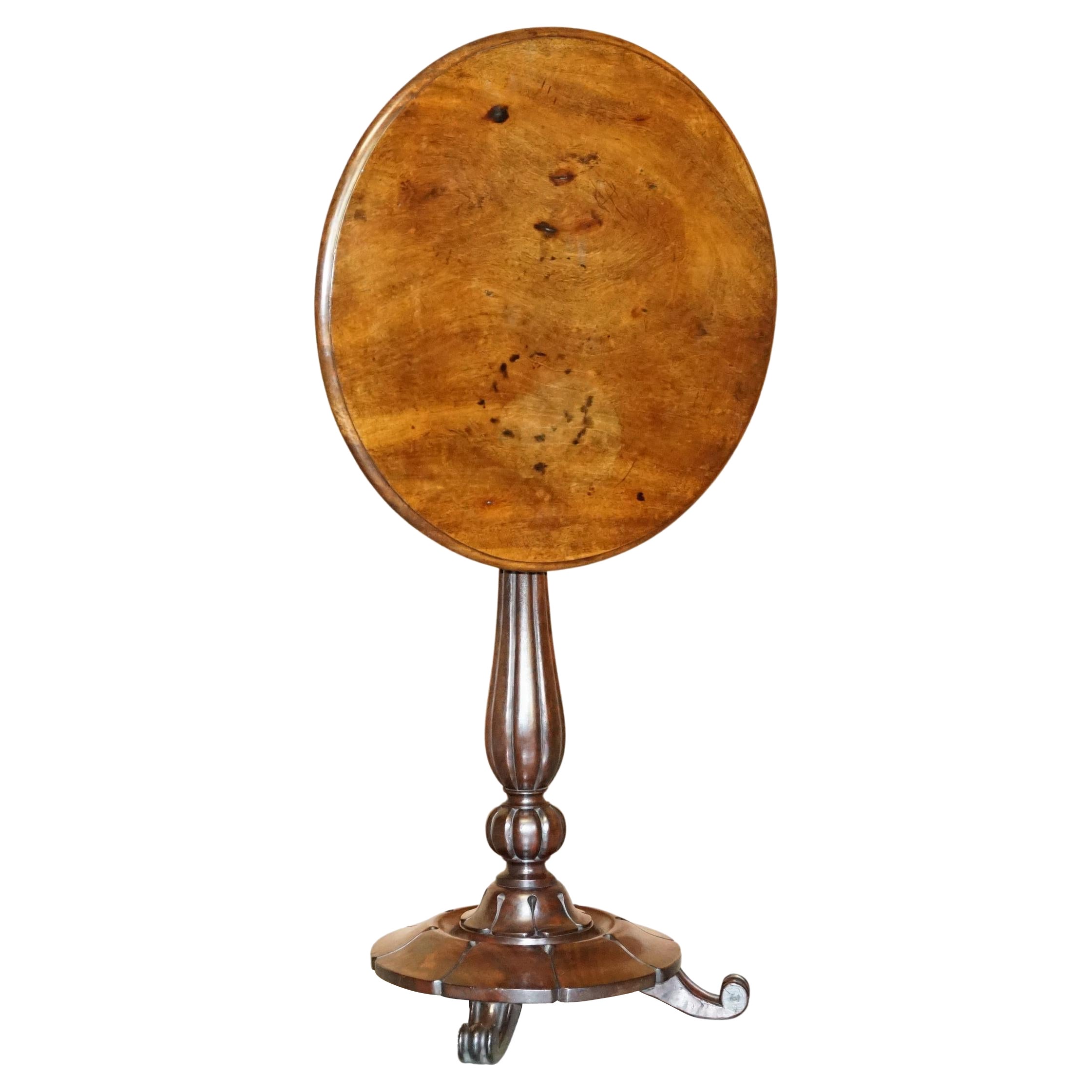 Stunning Patina Antique William IV circa 1830 Hardwood Tilt Top Occasional Table