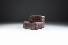 Stupenda sedia da salotto Kashima patinata (1982) di Michel Ducaroy - Ligne Roset