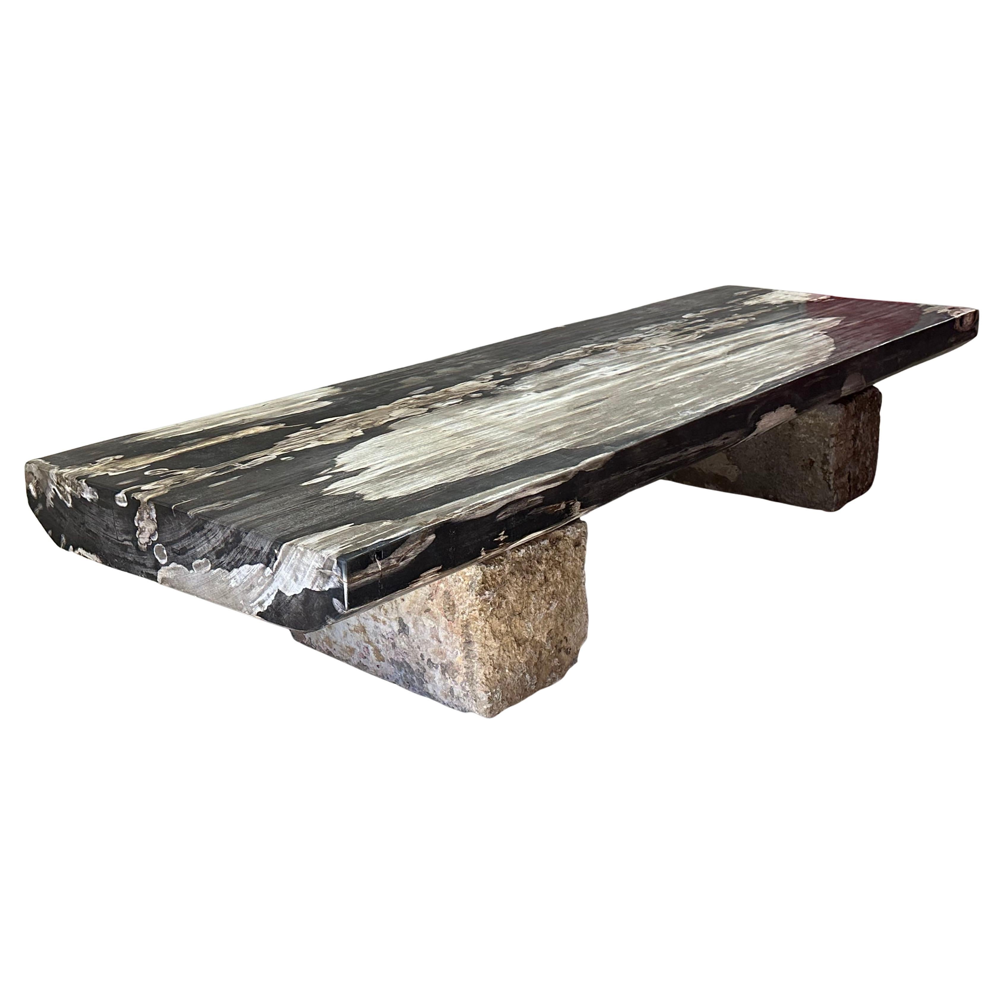 Stunning Petrified Wood Top Coffee Table on Stone Bases