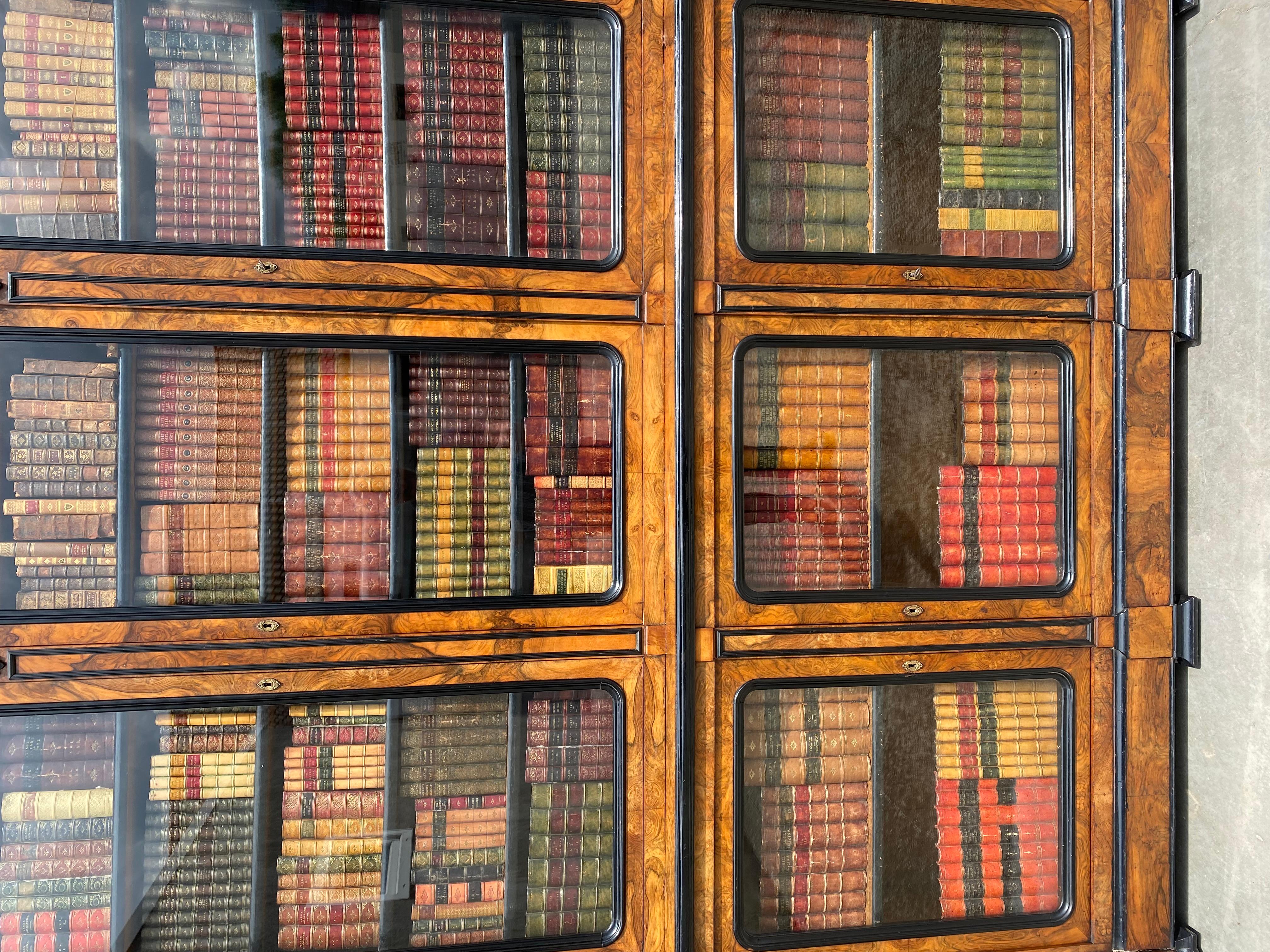 Atemberaubende Qualität 19. Jahrhundert Französisch Nussbaum & Ebenholz Bibliothek Bücherregal (Glas) im Angebot