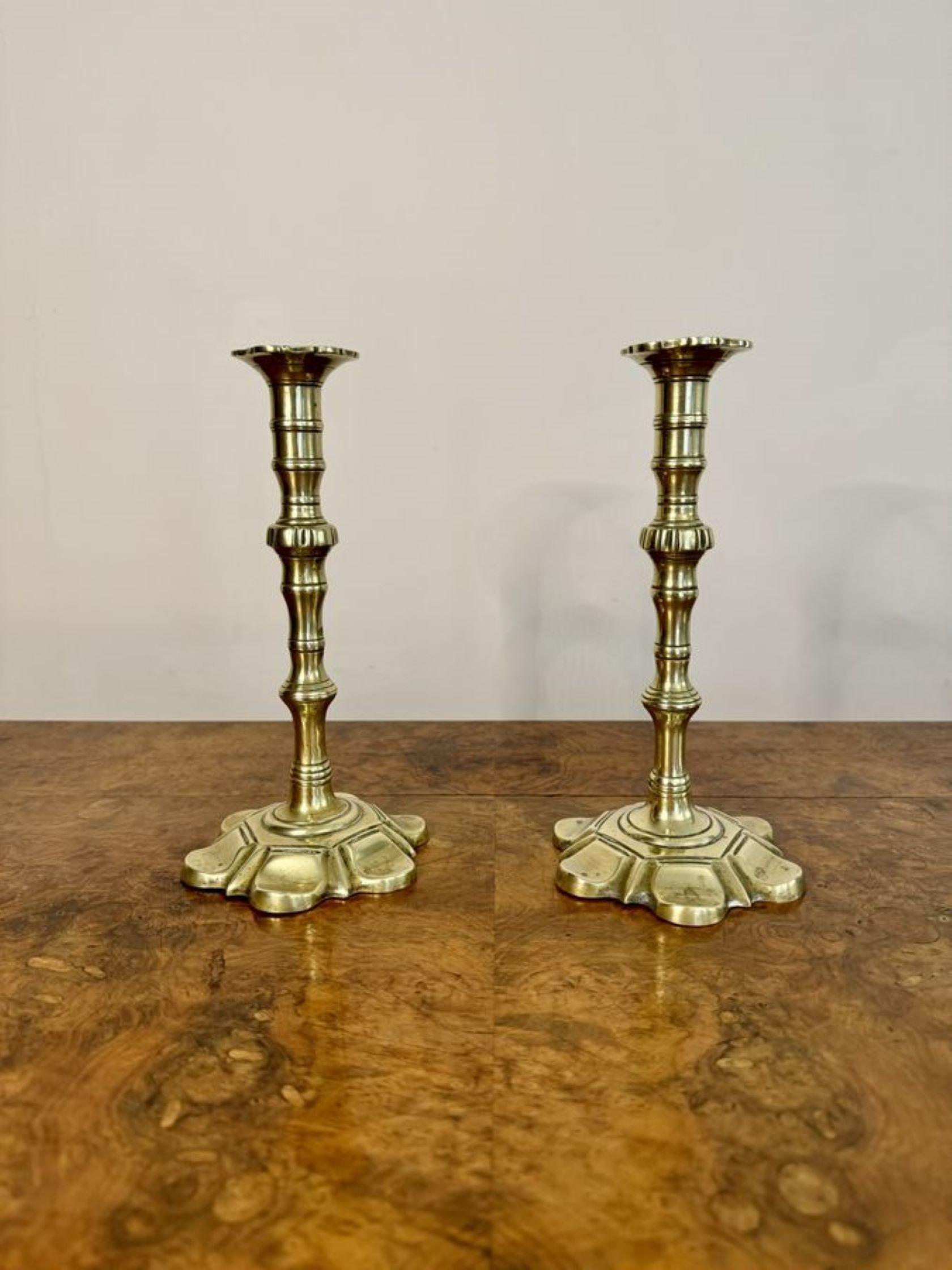 Superbe paire de chandeliers anciens en laiton de George III, avec de belles bases circulaires en forme de pétales et des sommets en forme.

D. 1760