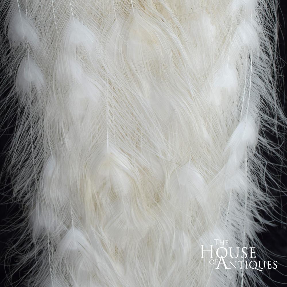 Stunning Rare Taxidermy White Peacock Mounted on a White Plinth In Good Condition In London, GB