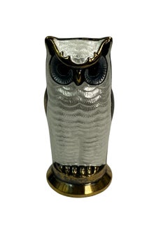 Stupendo set di sale e pepe gufi in argento 925 con smalto arabescato, Norvegia anni '60