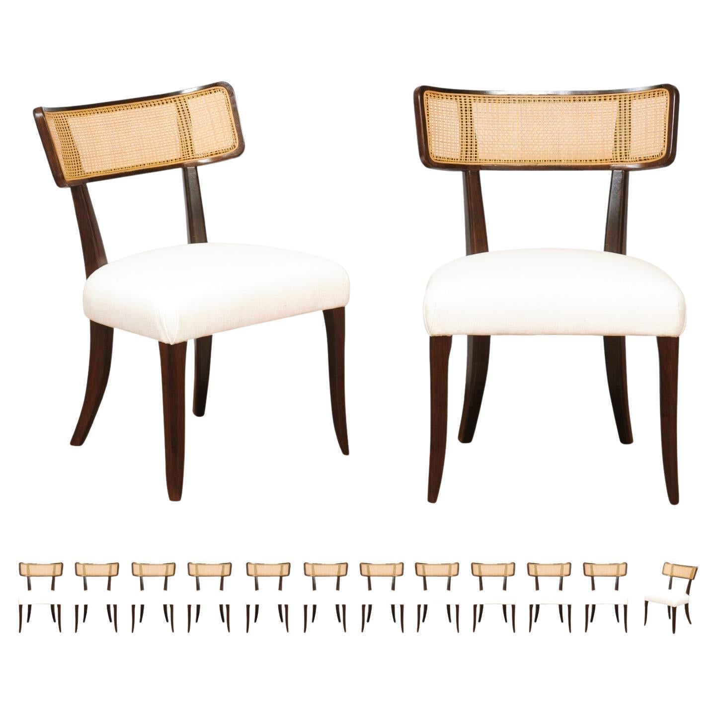 Stunning Set of 14 Klismos Cane Side Chairs by Edward Wormley, circa 1948 For Sale