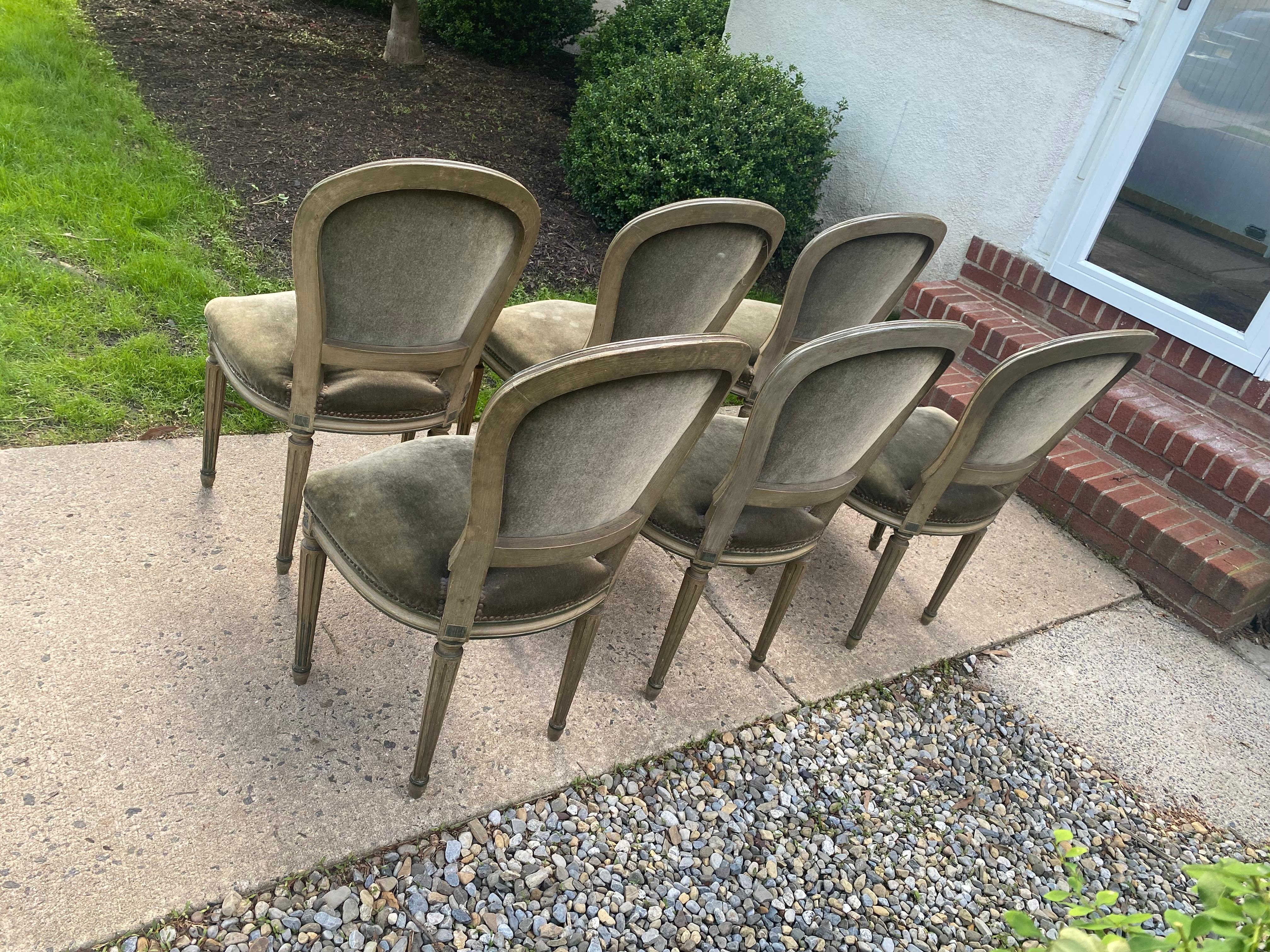 Ensemble classique de 6 chaises de salle à manger en bois peint de style Maison Jansen. Les pieds sont cannelés, les articulations sont en rosace et les tabliers sont droits.  L'ossature est excellente et les cadres ont juste été retouchés par des