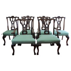 Stunning Set Of Six Chippendale Style Dining Chairs 