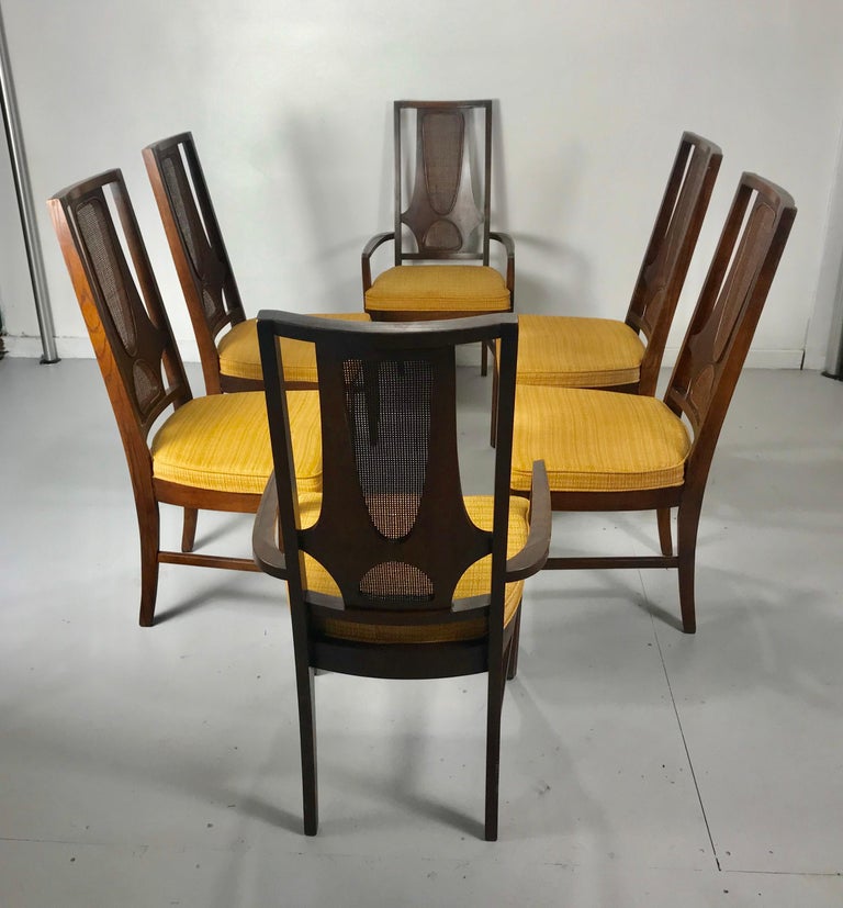 Stunning Set of Six Mid-Century Modern Broyhill "Brasilia" Dining ...