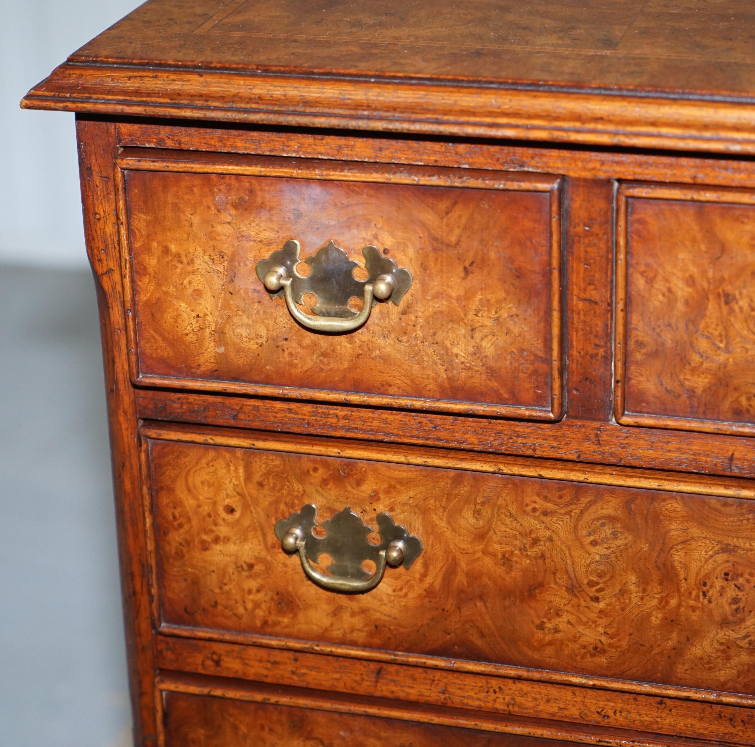 Stunning Small Burr Elm Chest of Drawers Lamp End Wine Bed Side Table Sized 2