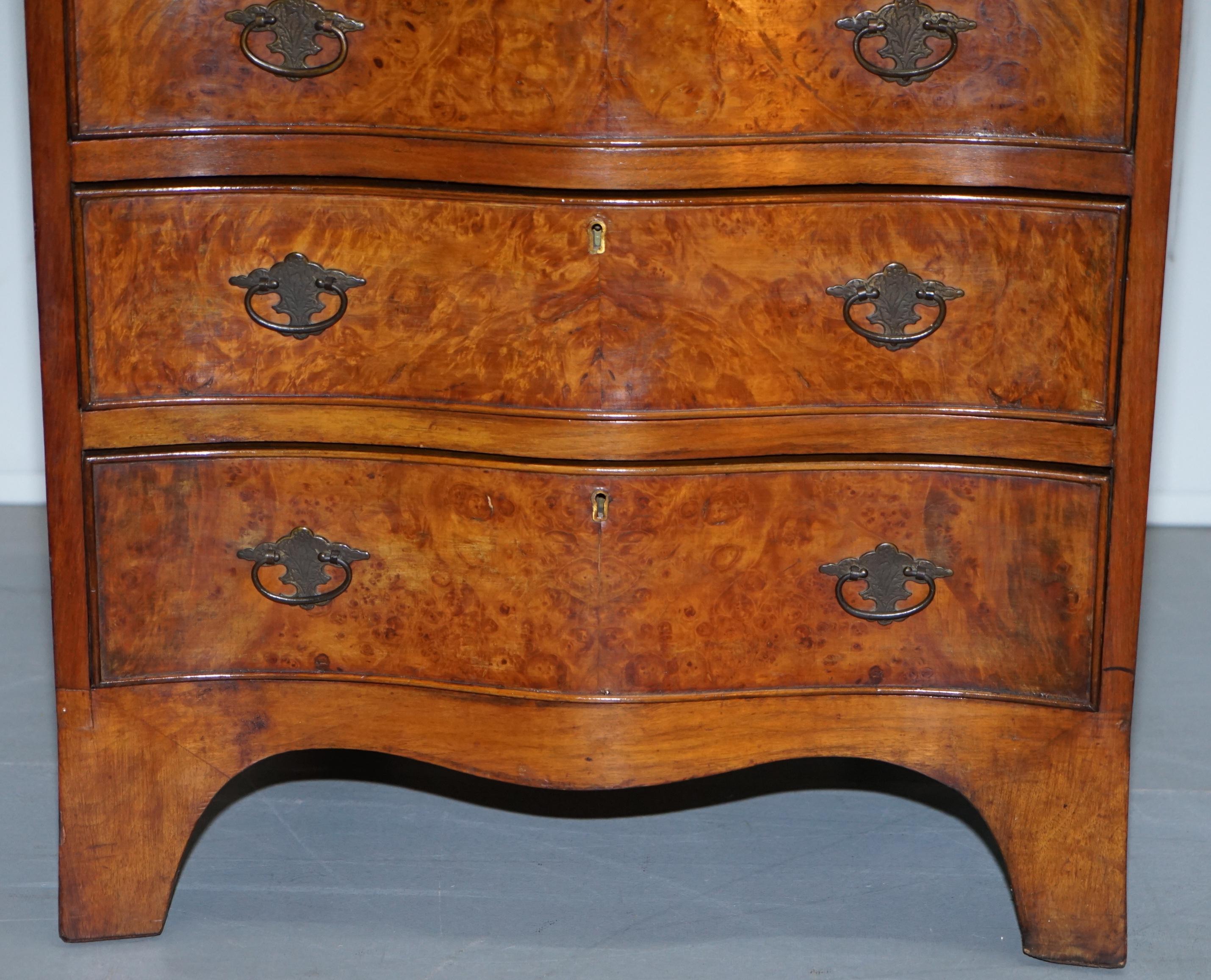 Stunning Small Burr Walnut Chest of Drawers with Butlers Tray Bedside Table 1