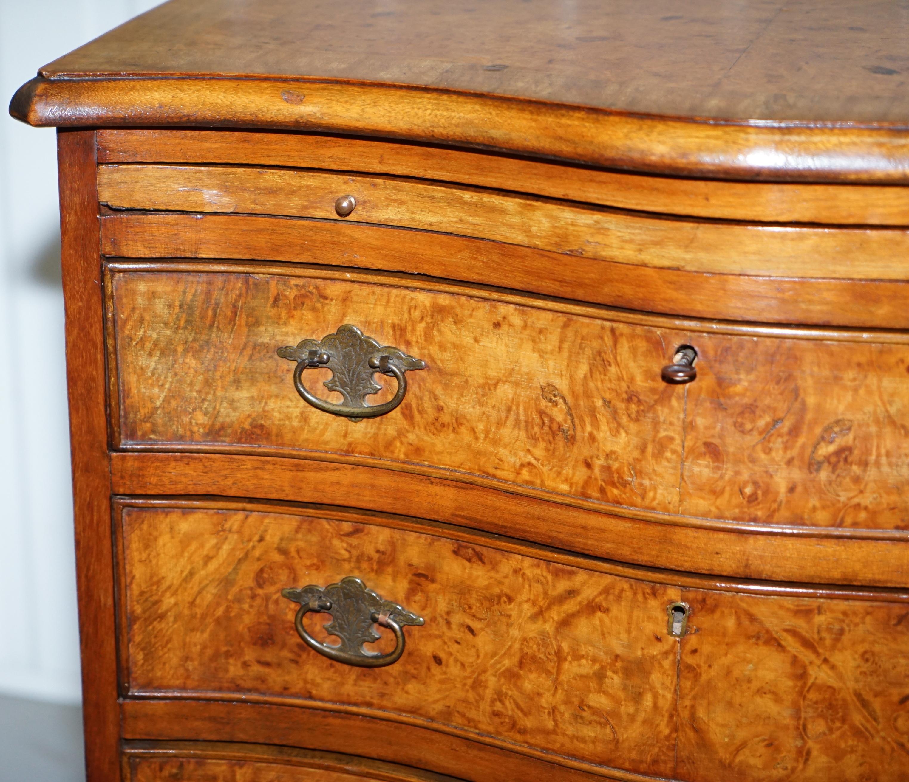 Stunning Small Burr Walnut Chest of Drawers with Butlers Tray Bedside Table 2