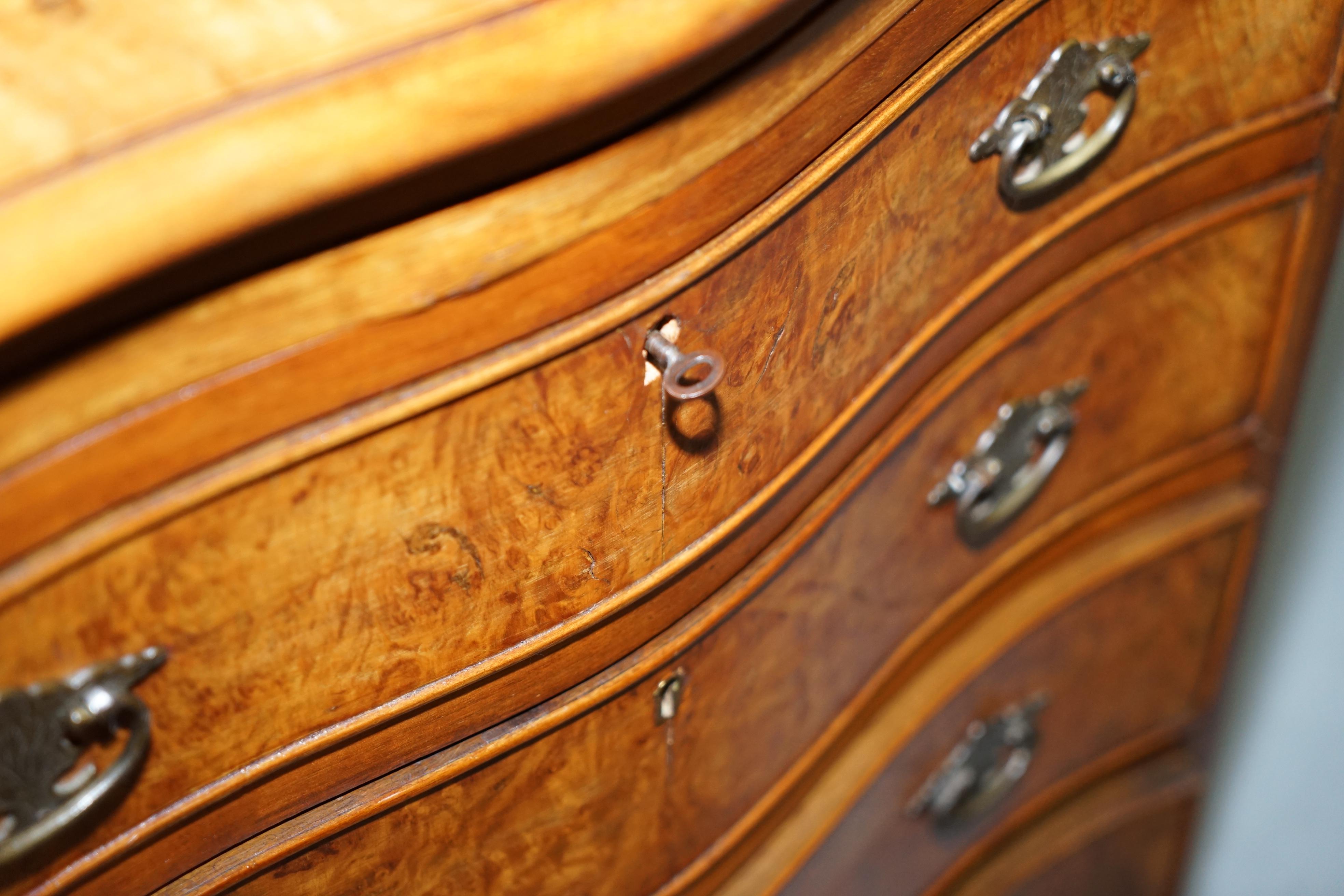 Stunning Small Burr Walnut Chest of Drawers with Butlers Tray Bedside Table 8