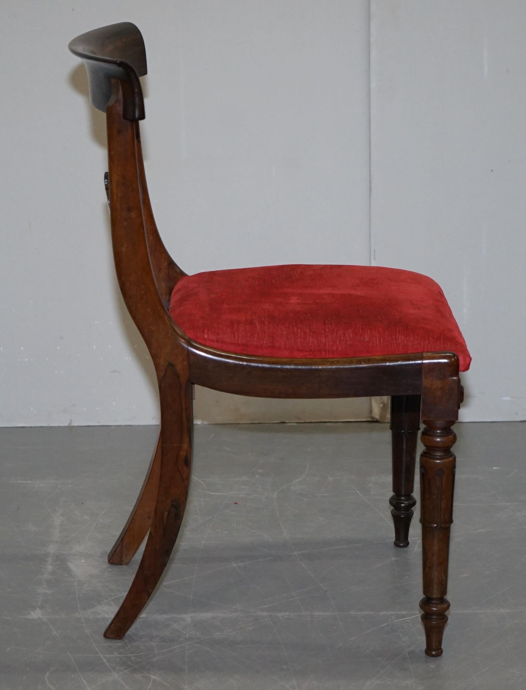 Stunning Suite of Five William IV circa 1830 Hardwood Dining Chairs Sublime!!!!! 3