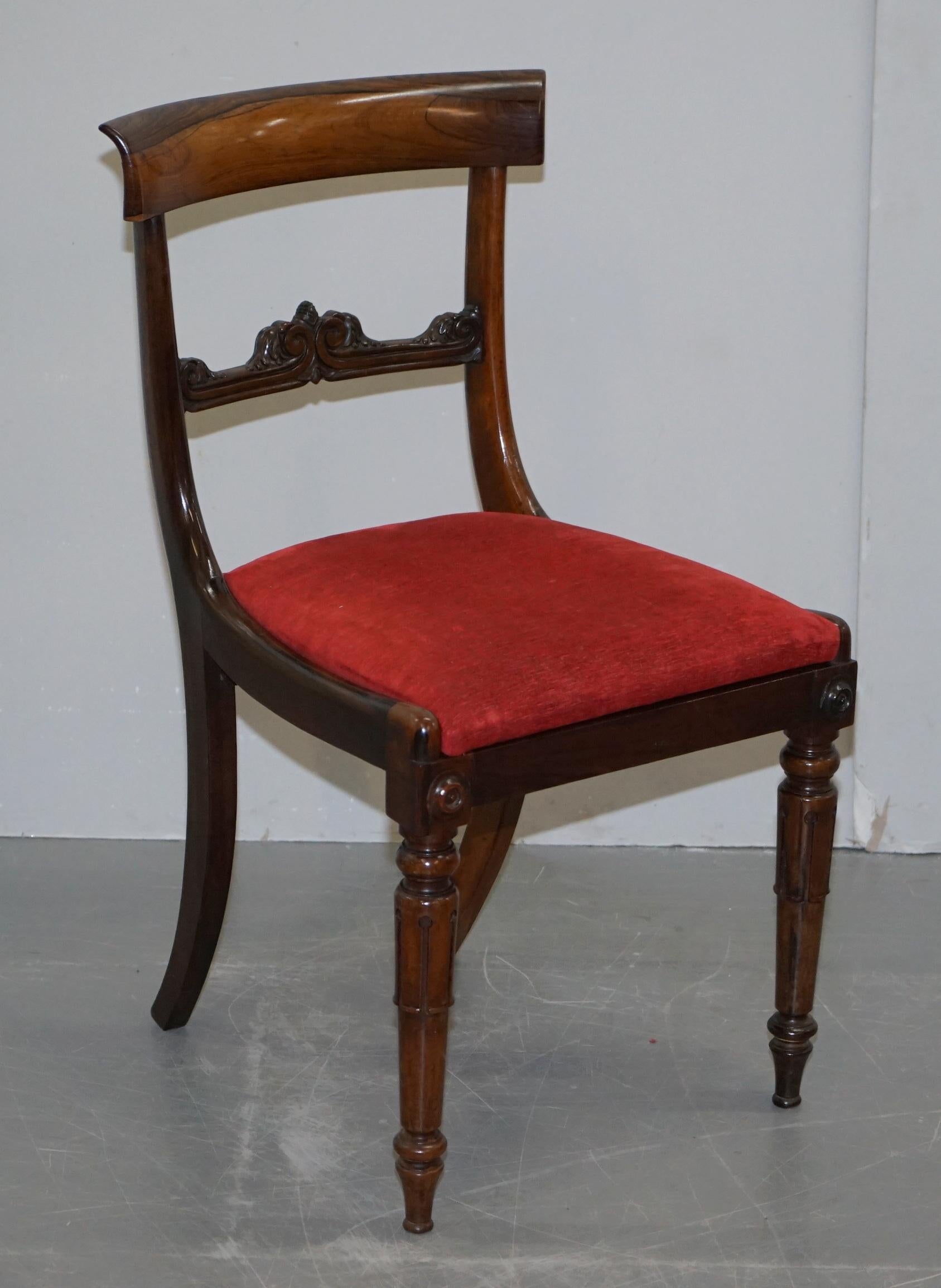 Stunning Suite of Five William IV circa 1830 Hardwood Dining Chairs Sublime!!!!! 4