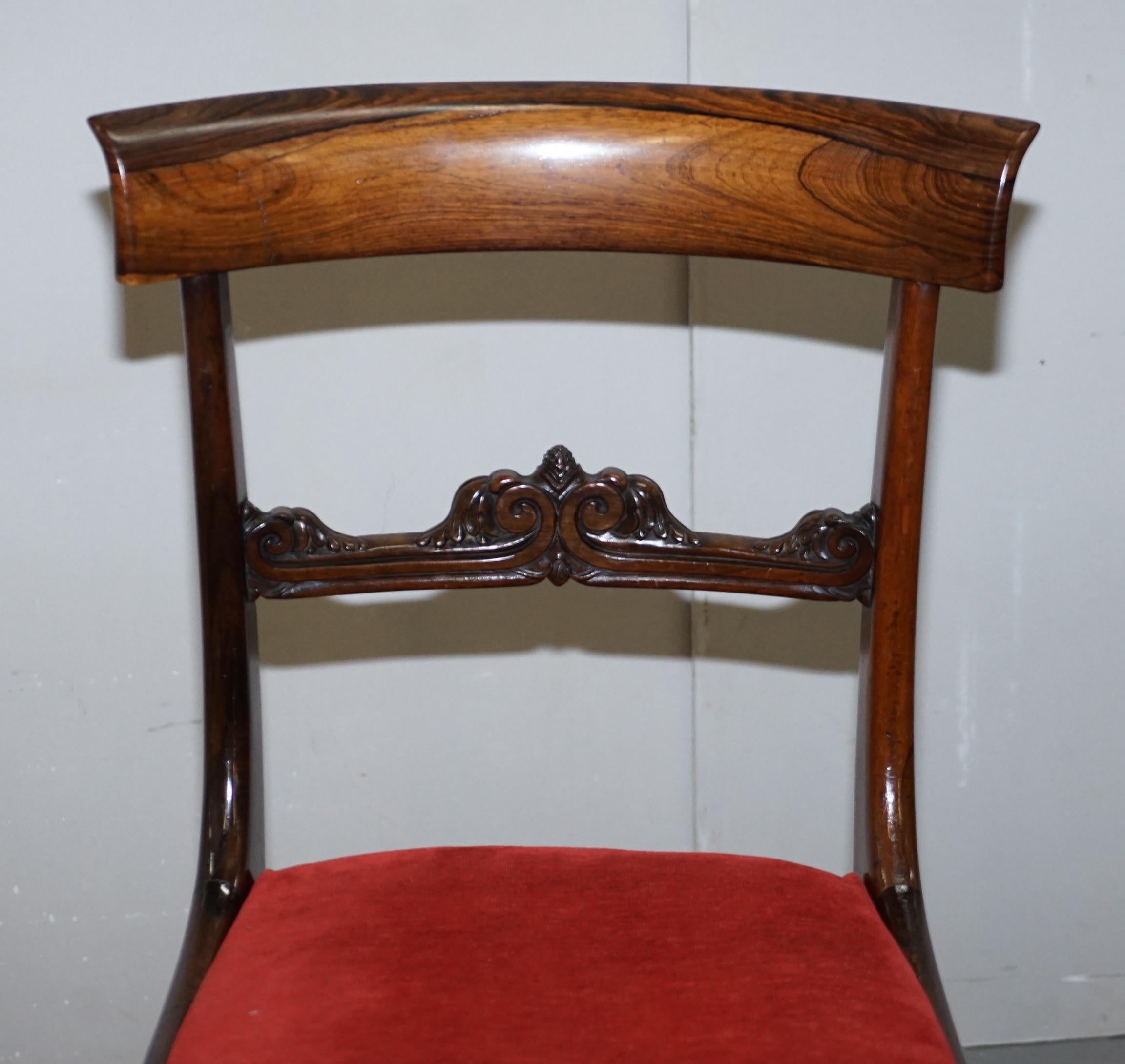 Stunning Suite of Five William IV circa 1830 Hardwood Dining Chairs Sublime!!!!! 5