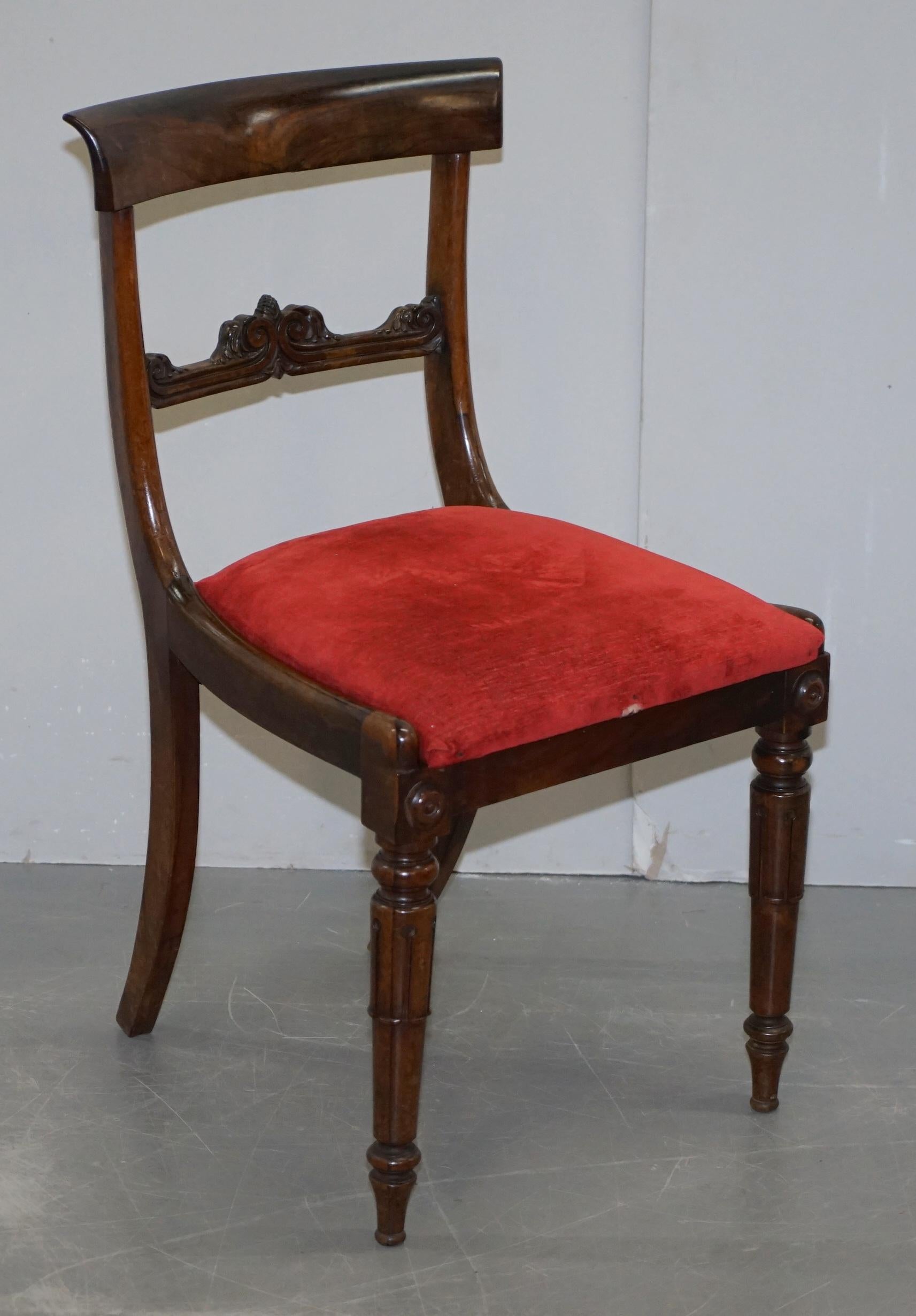 Stunning Suite of Five William IV circa 1830 Hardwood Dining Chairs Sublime!!!!! 6