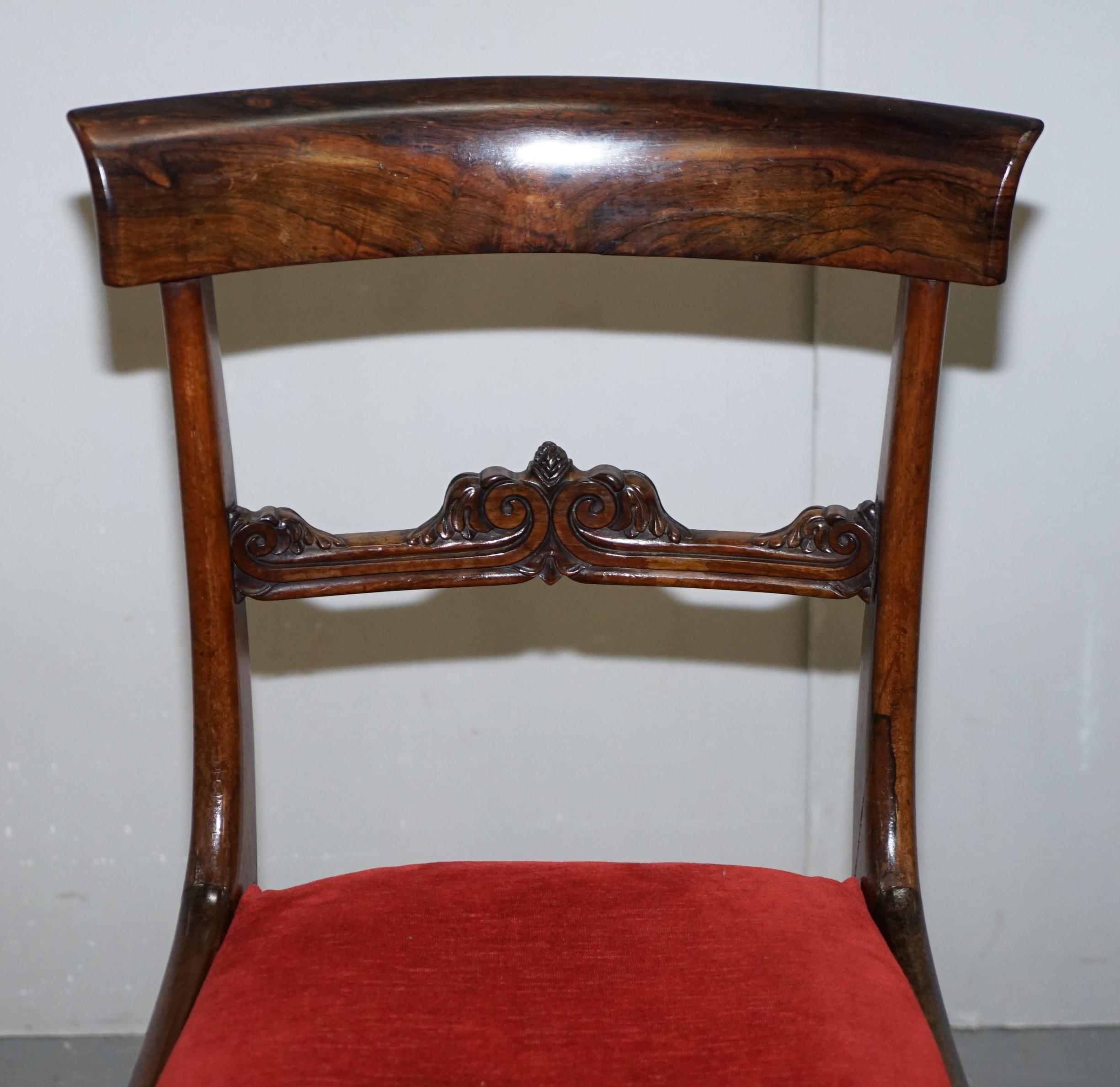 Stunning Suite of Five William IV circa 1830 Hardwood Dining Chairs Sublime!!!!! 7
