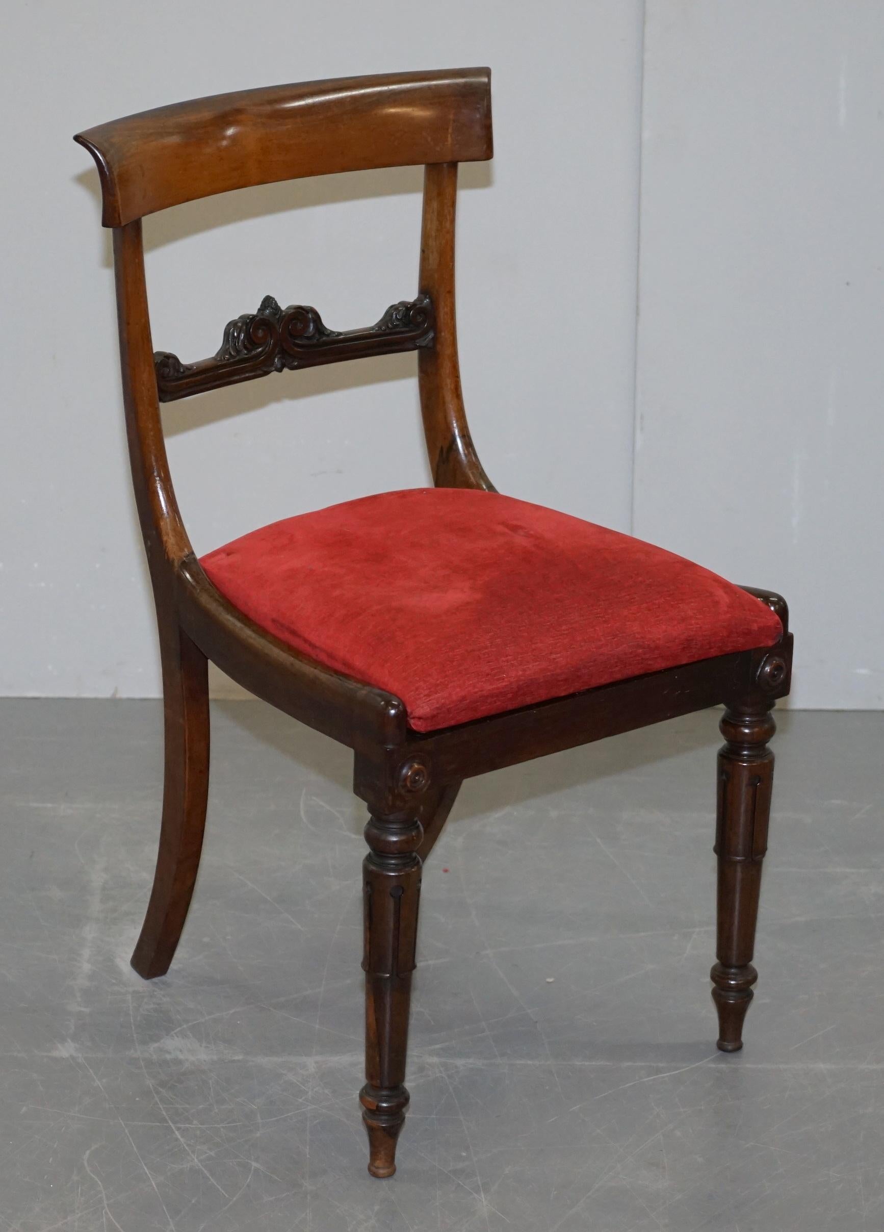 Stunning Suite of Five William IV circa 1830 Hardwood Dining Chairs Sublime!!!!! 9