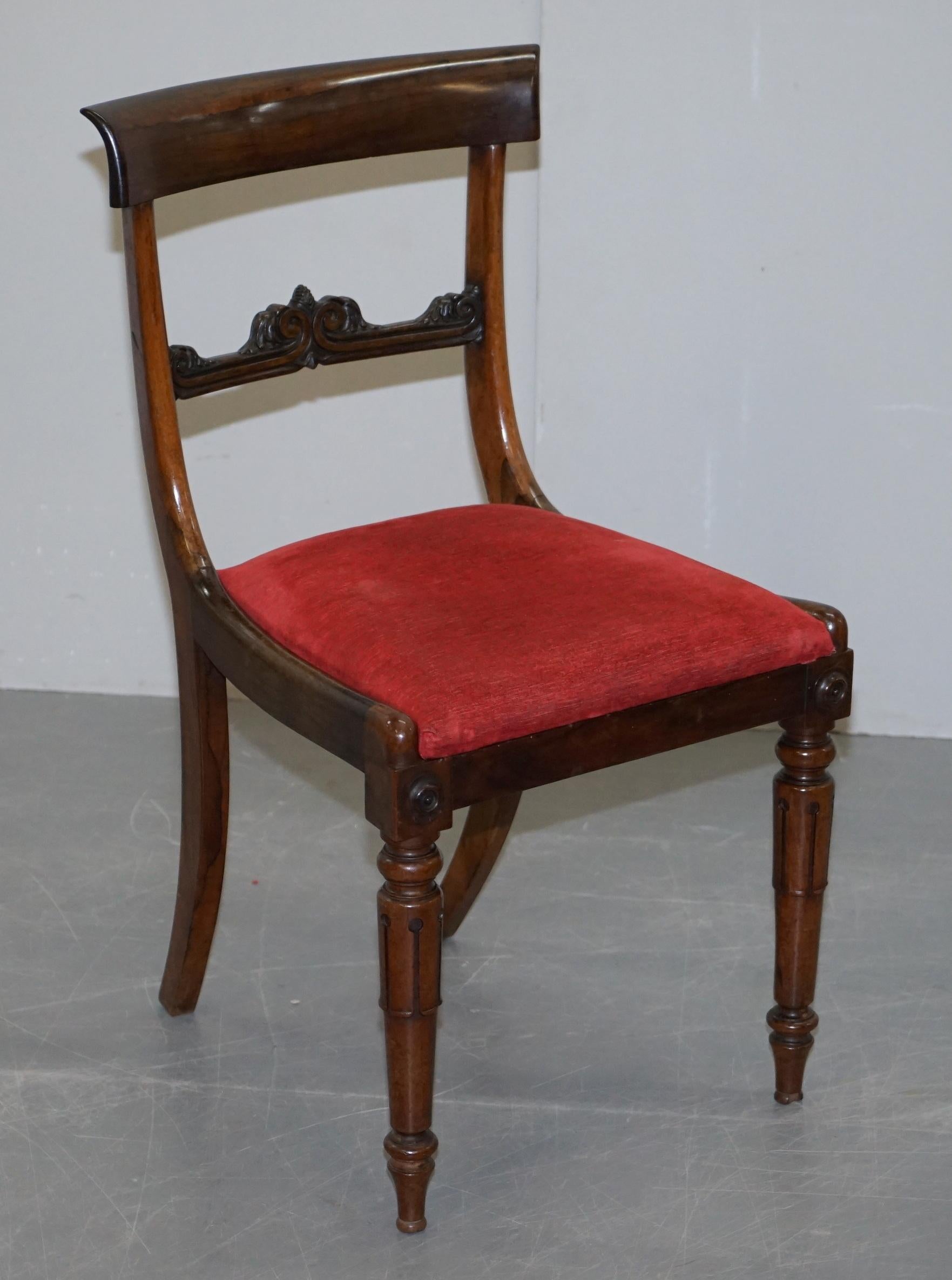 Stunning Suite of Five William IV circa 1830 Hardwood Dining Chairs Sublime!!!!! 11