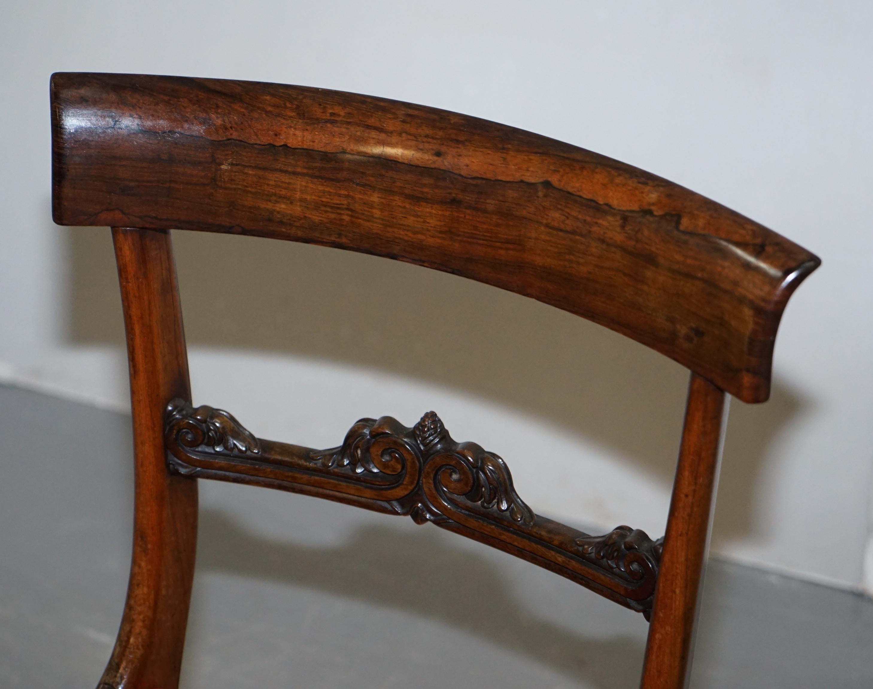 Stunning Suite of Five William IV circa 1830 Hardwood Dining Chairs Sublime!!!!! 12