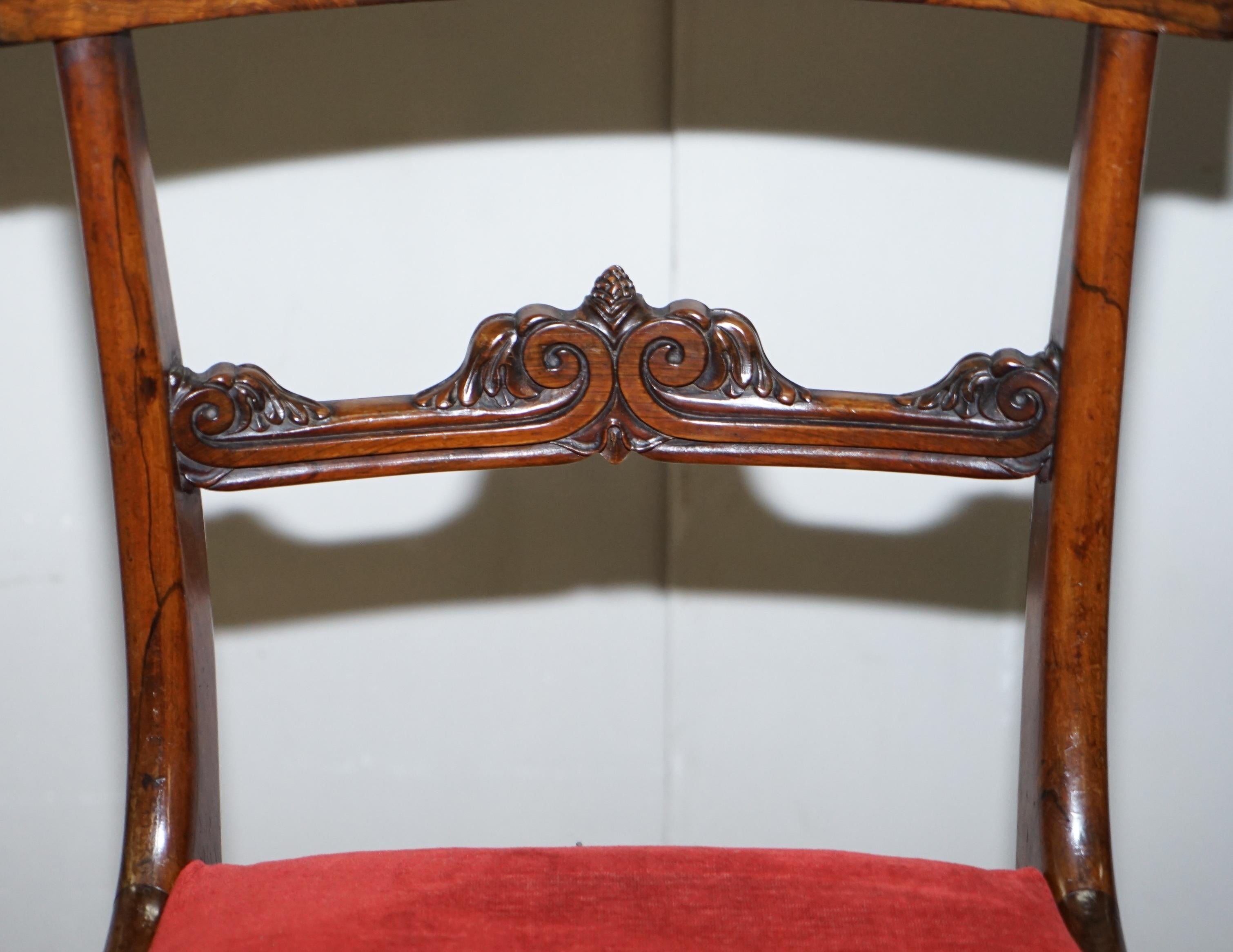Mid-19th Century Stunning Suite of Five William IV circa 1830 Hardwood Dining Chairs Sublime!!!!!