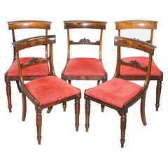 Stunning Suite of Five William IV circa 1830 Hardwood Dining Chairs Sublime!!!!!