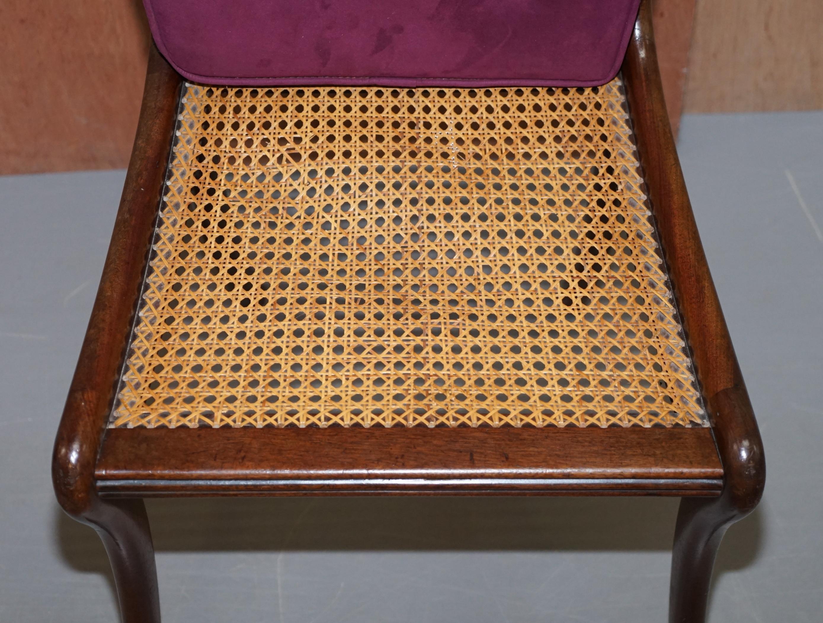 Stunning Suite of Six Regency Hardwood Bergere Dining Chairs Velvet Chesterfield For Sale 8