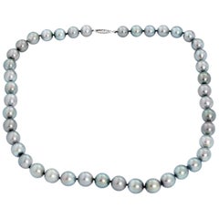 Stunning Tahitian Pearl Necklace with White Gold Clasp