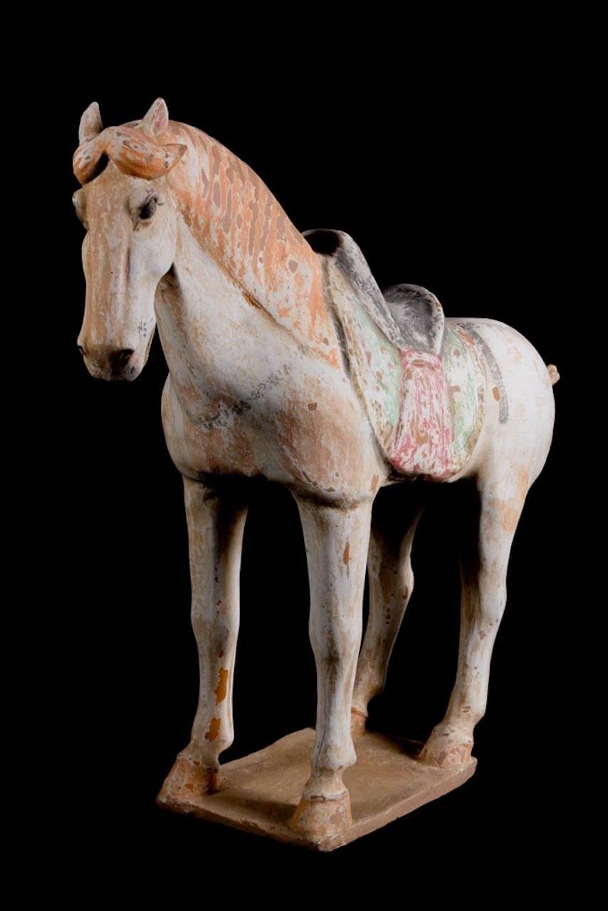 Stunning Terracotta Standing Horse, Tang Dynasty, China '618-907 AD', TL Test In Excellent Condition For Sale In San Pedro Garza Garcia, Nuevo Leon