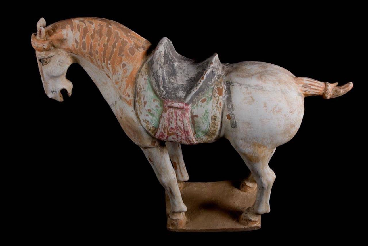 Stunning Terracotta Standing Horse, Tang Dynasty, China '618-907 AD', TL Test For Sale 4