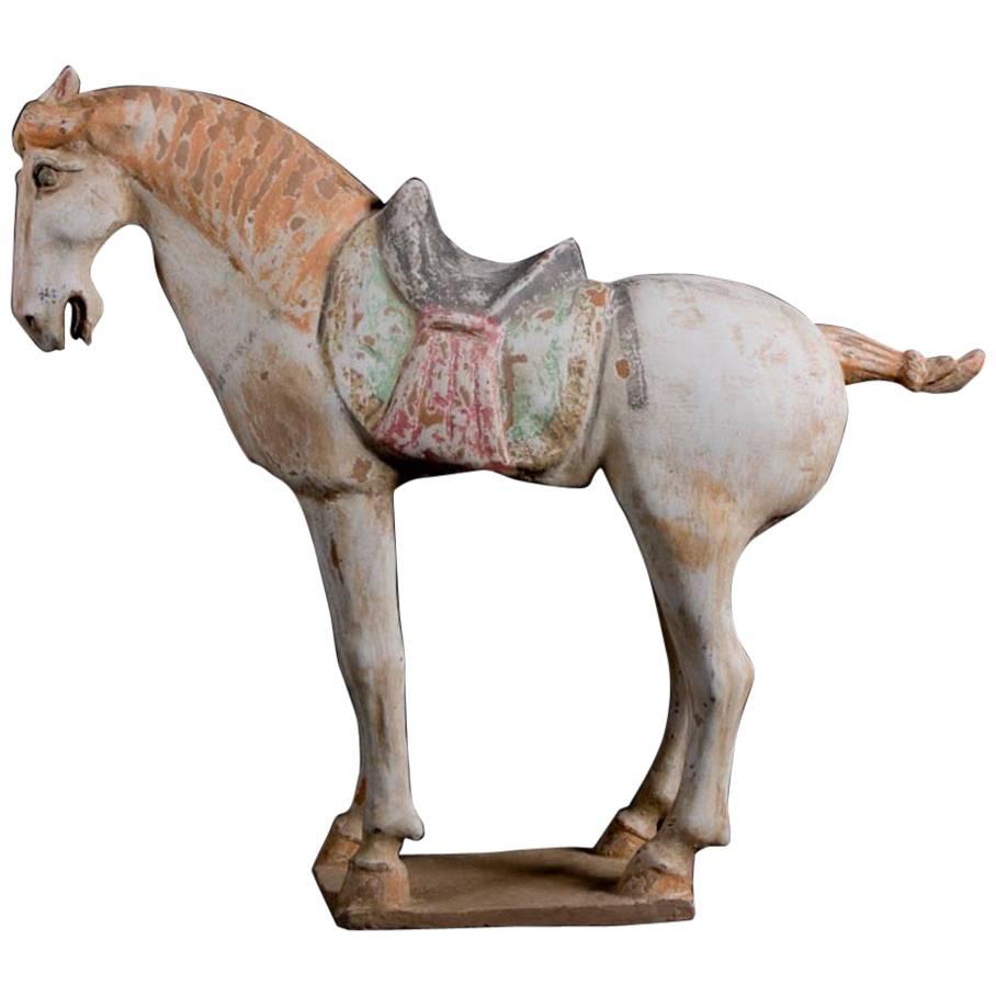 Stunning Terracotta Standing Horse, Tang Dynasty, China '618-907 AD', TL Test For Sale