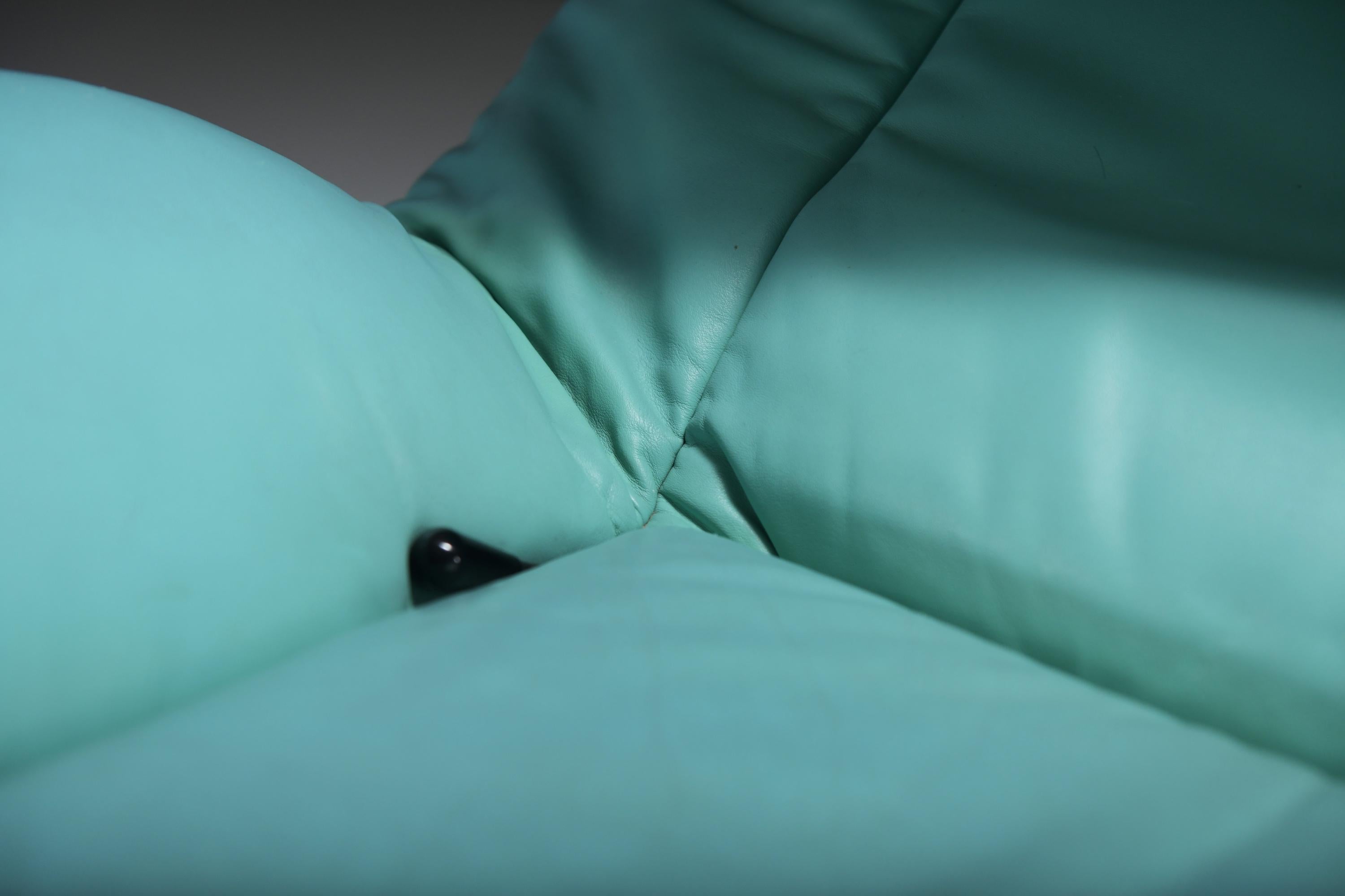 Stupenda Veranda in un colore molto raro di Vico Magistretti per Cassina. in vendita 6
