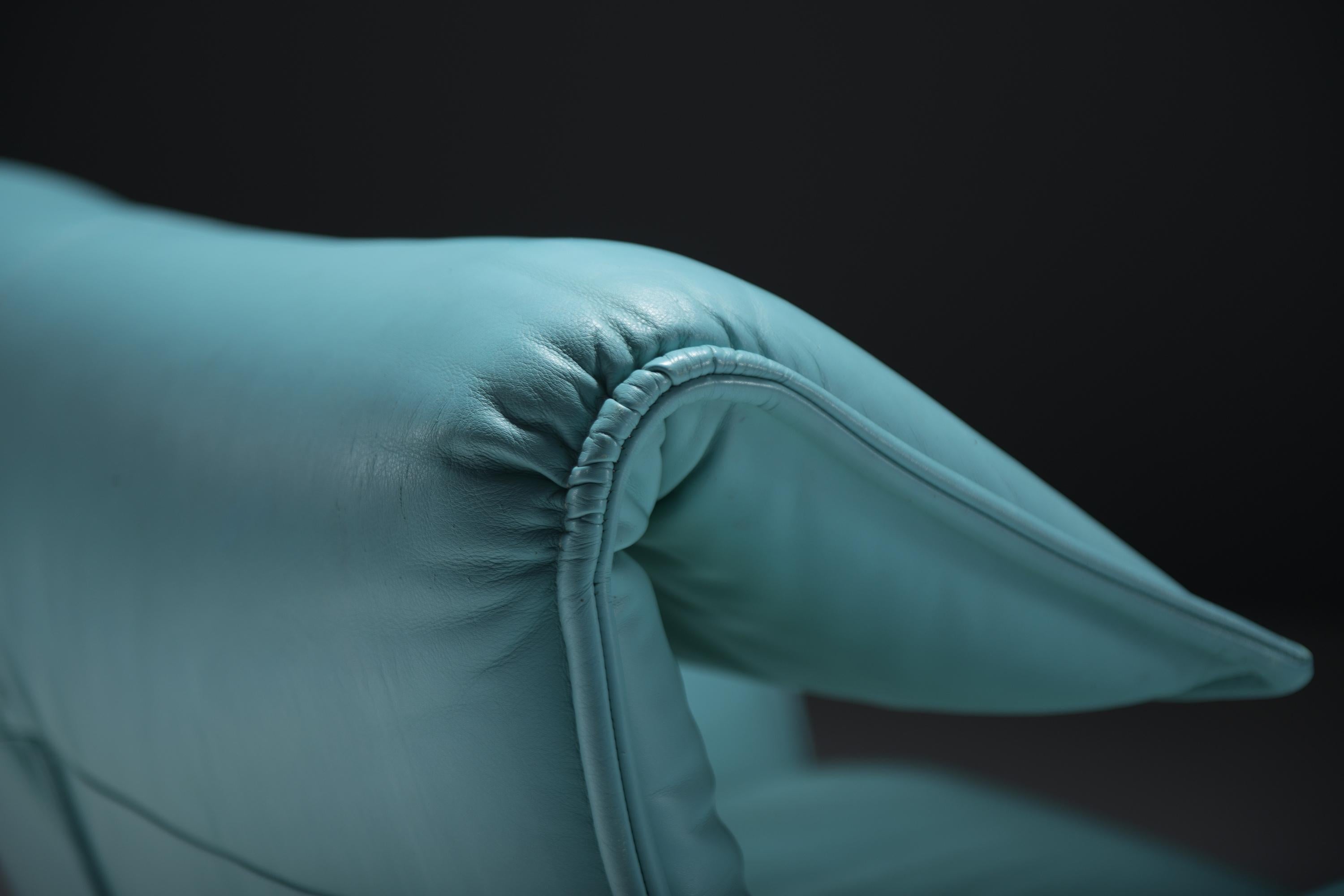 Stupenda Veranda in un colore molto raro di Vico Magistretti per Cassina. in vendita 2