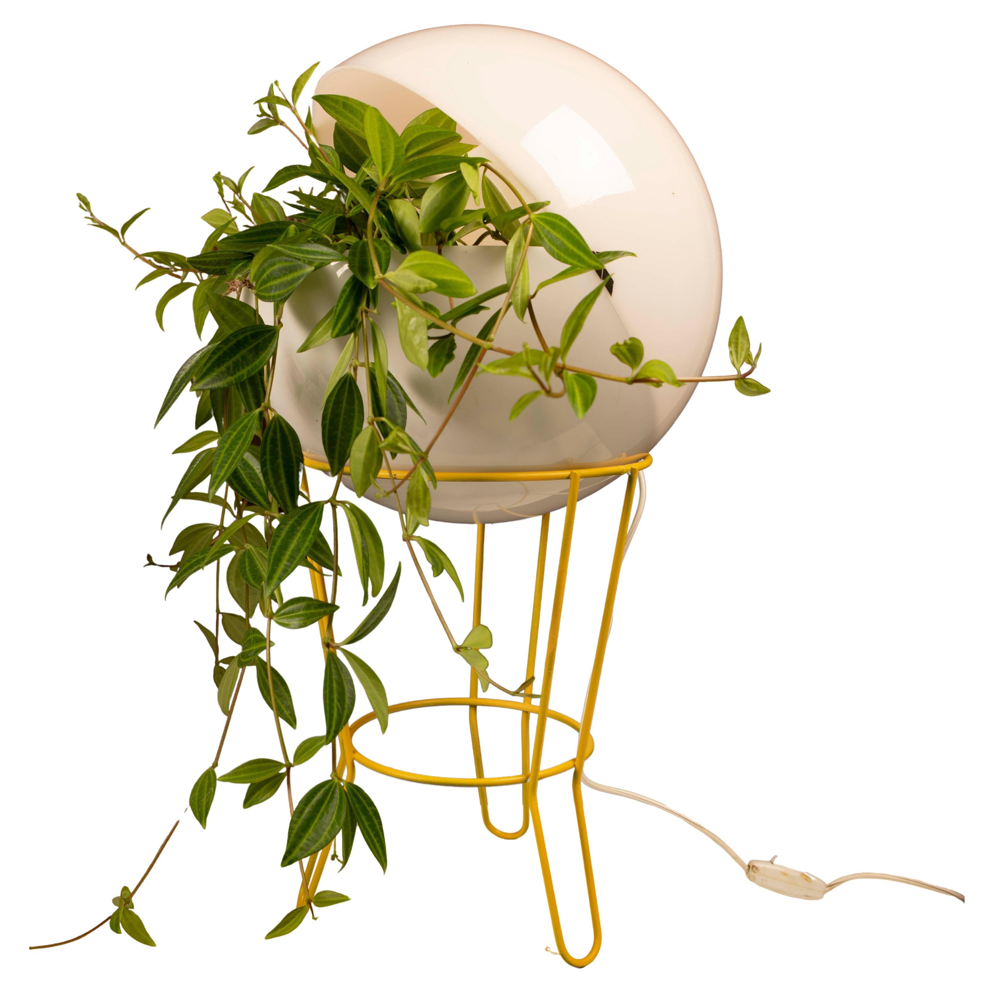 Stunning Vintage Acrylic Planter Lamp – Mid-Century Modern Elegance