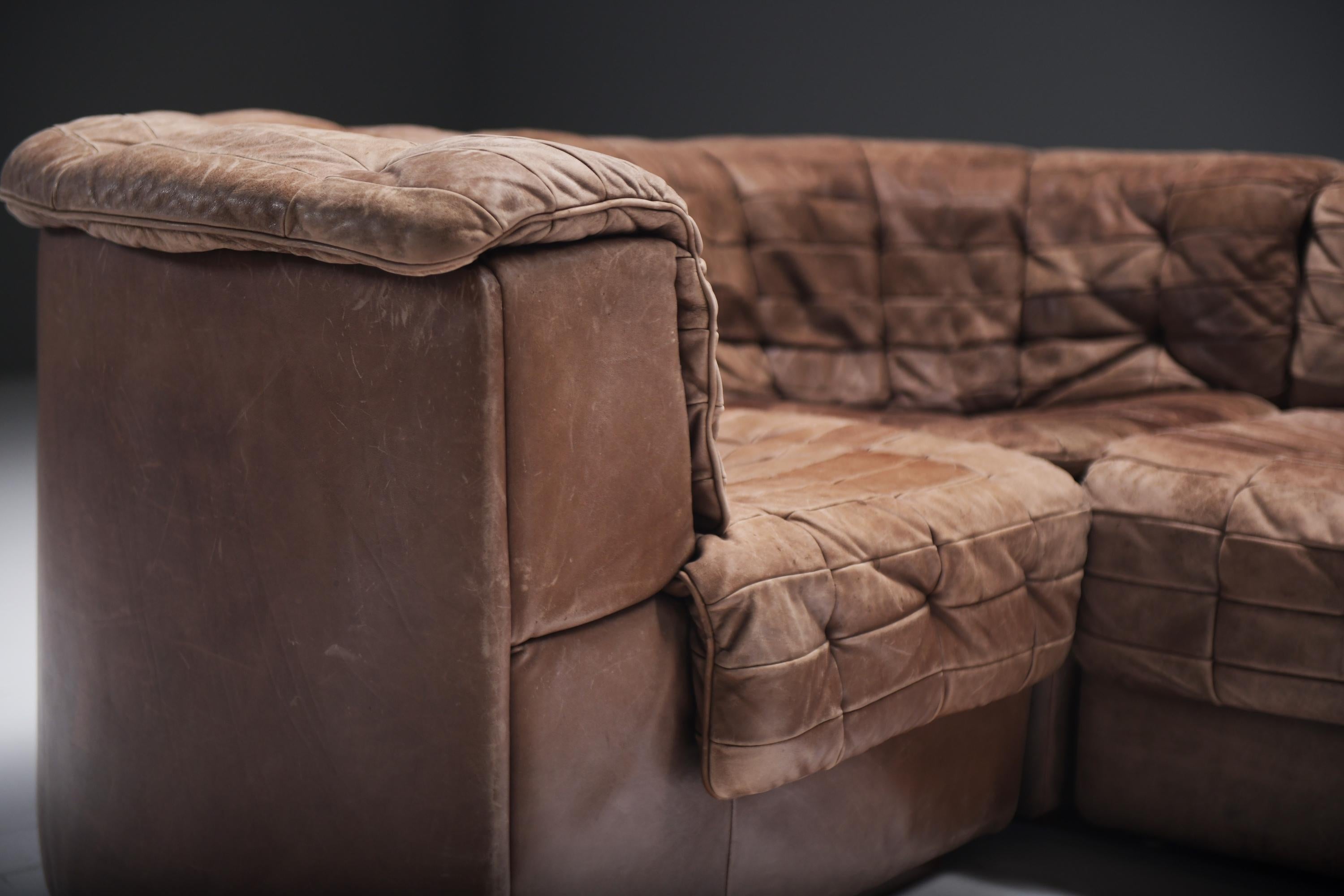 Stunning vintage DS 11 modular sofa  by De Sede Team for De Sede Swiss 4