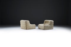 Stunning vintage Kashima 1979 lounge chairs by Michel Ducaroy for Ligne Roset