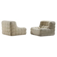 Stunning vintage Kashima 1979 lounge chairs by Michel Ducaroy for Ligne Roset