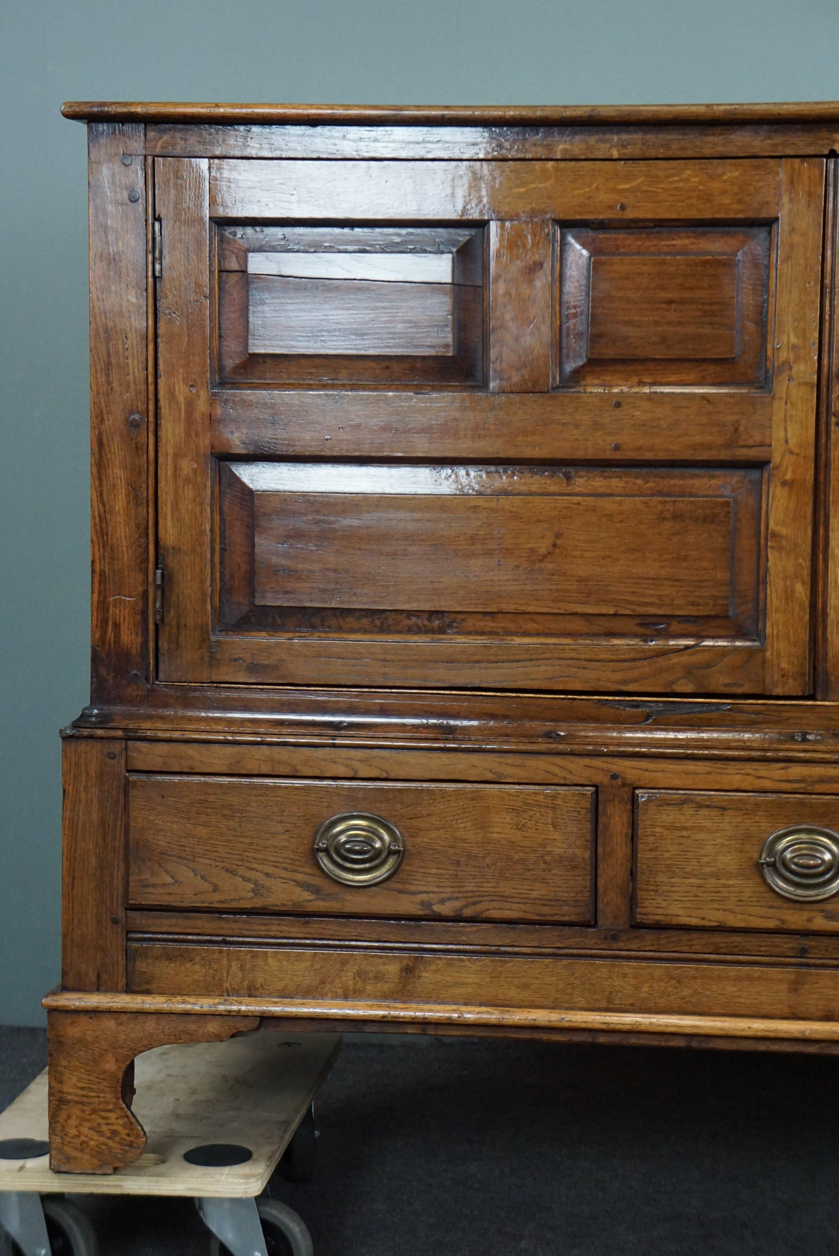 Stunningly beautiful rare antique late 18th century oak Welsh press cabinet/side For Sale 4