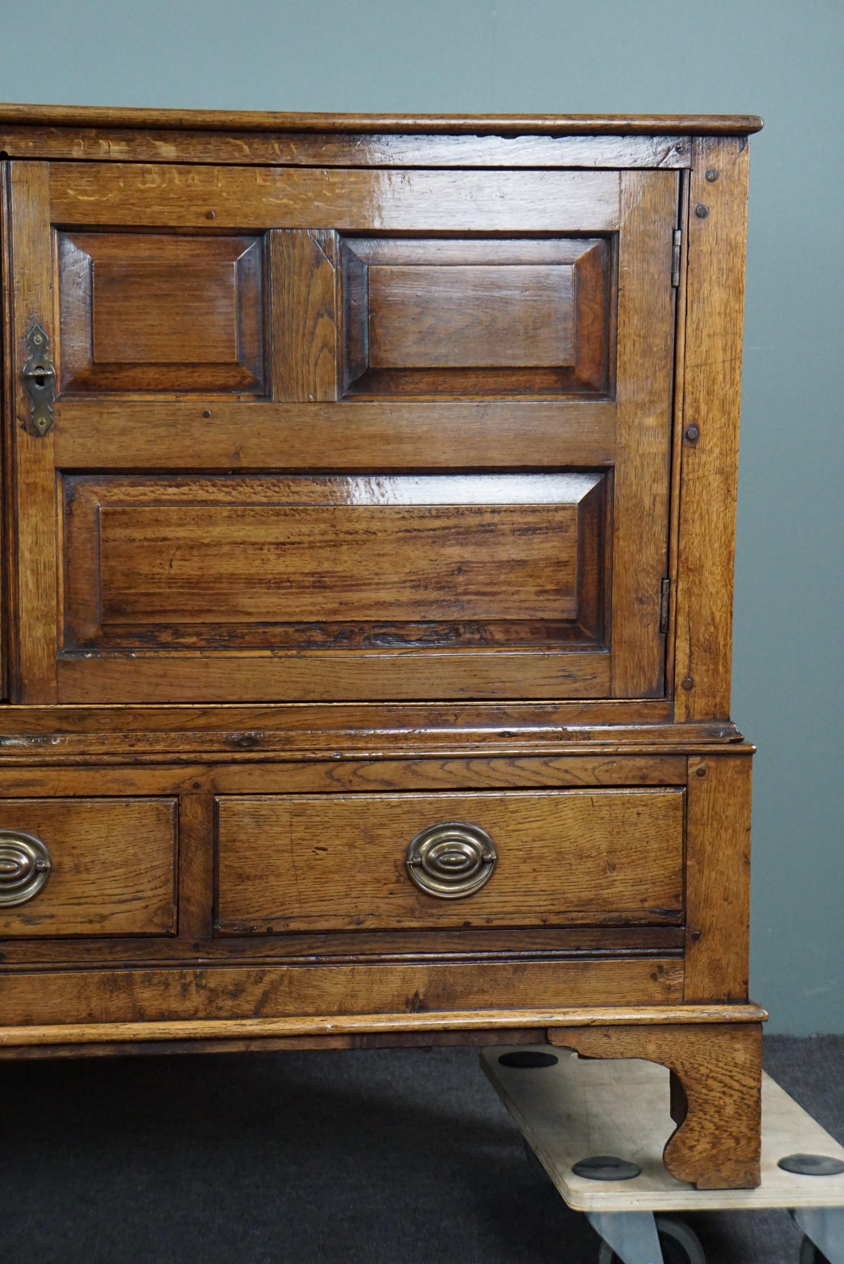 Stunningly beautiful rare antique late 18th century oak Welsh press cabinet/side For Sale 5