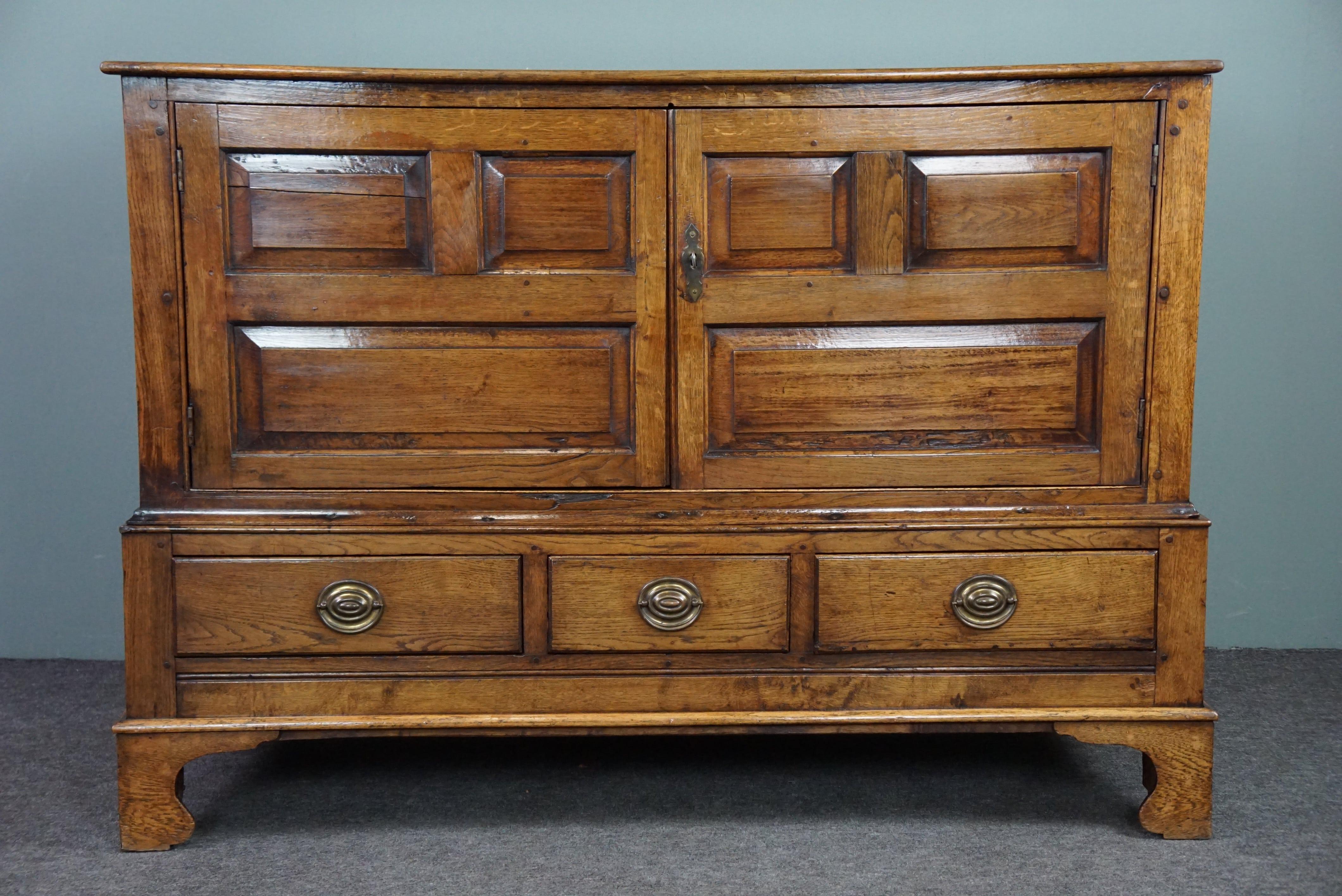 Stunningly beautiful rare antique late 18th century oak Welsh press cabinet/side For Sale 1